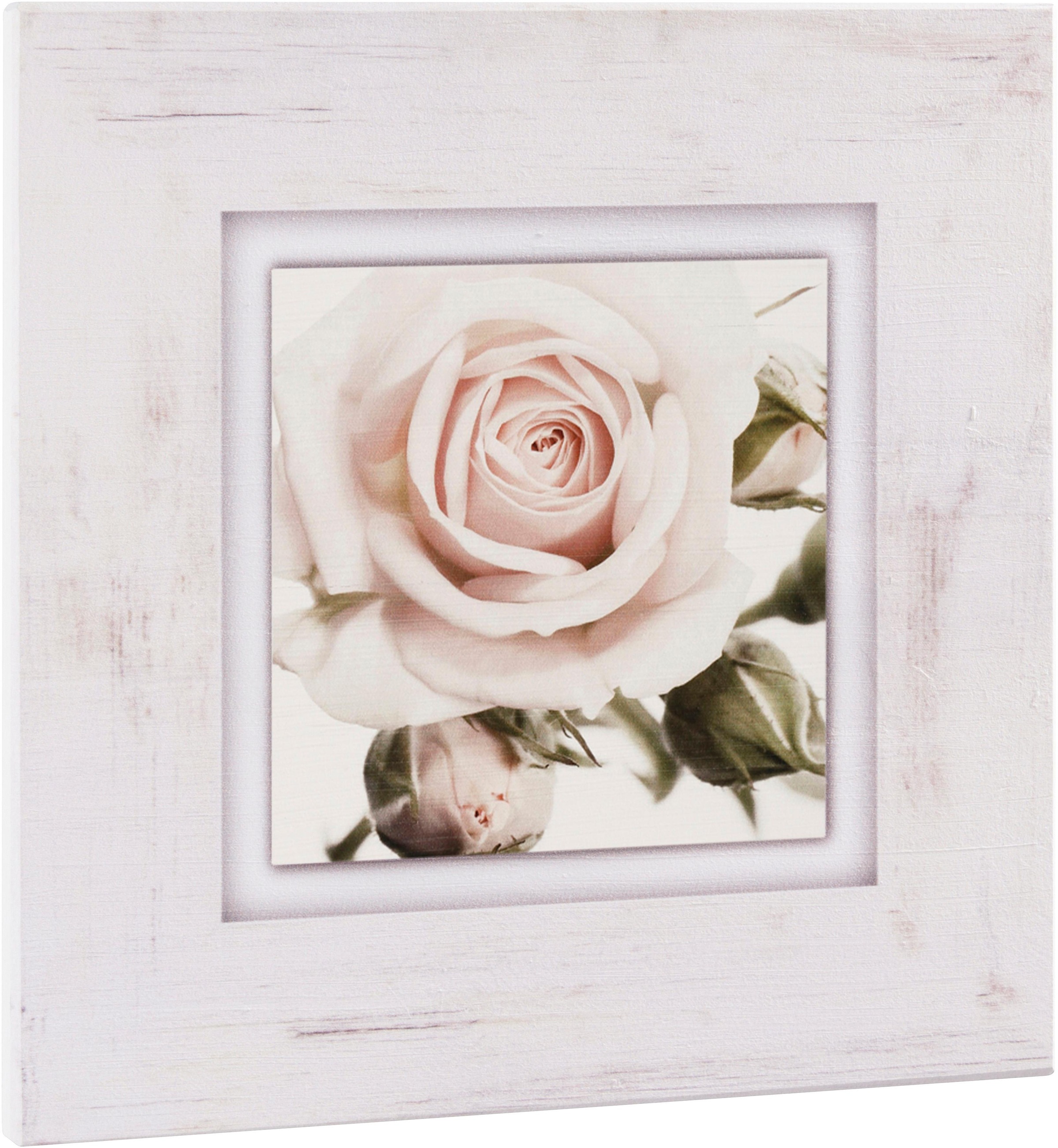 Image of Home affaire Holzbild »Hellrosa Rosenblüte«, 40/40 cm bei Ackermann Versand Schweiz