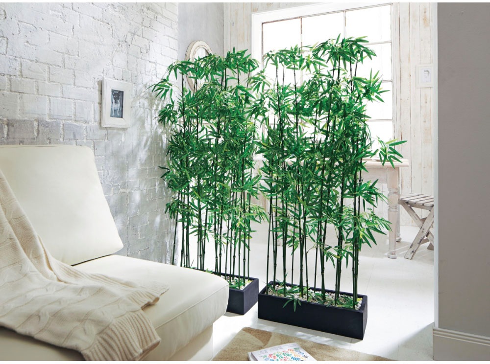 Image of Schneider Künstliche Zimmerpflanze, (2 St.), Masse (B/T/H): 20/50/140 cm bei Ackermann Versand Schweiz