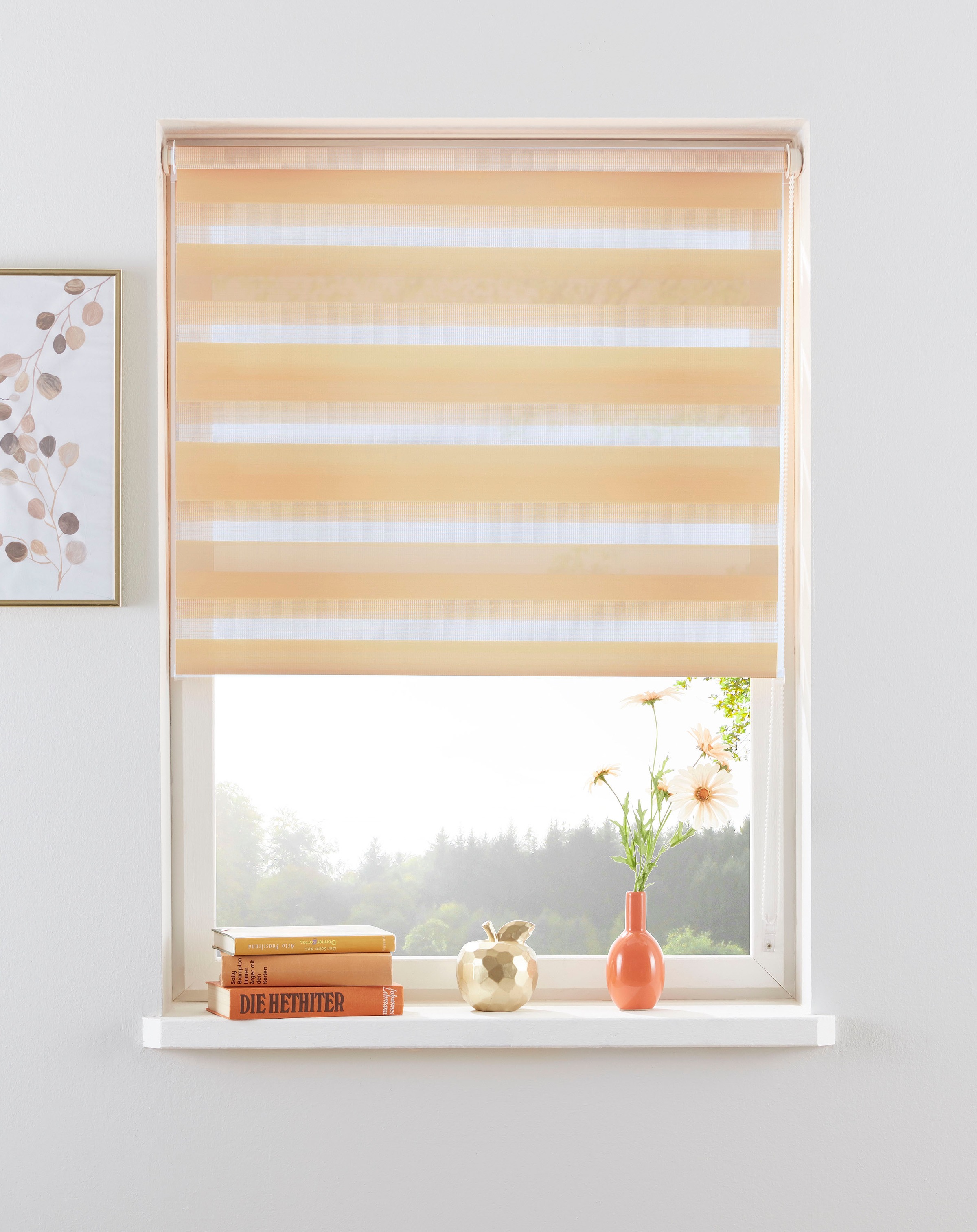 Image of my home Doppelrollo »MARANO«, Lichtschutz, Sichtschutz, ohne Bohren, freihängend, im Fixmass, Rollo mit Klemmträgern, Bestseller, monochrom, uni, basic, Klemmträger bei Ackermann Versand Schweiz