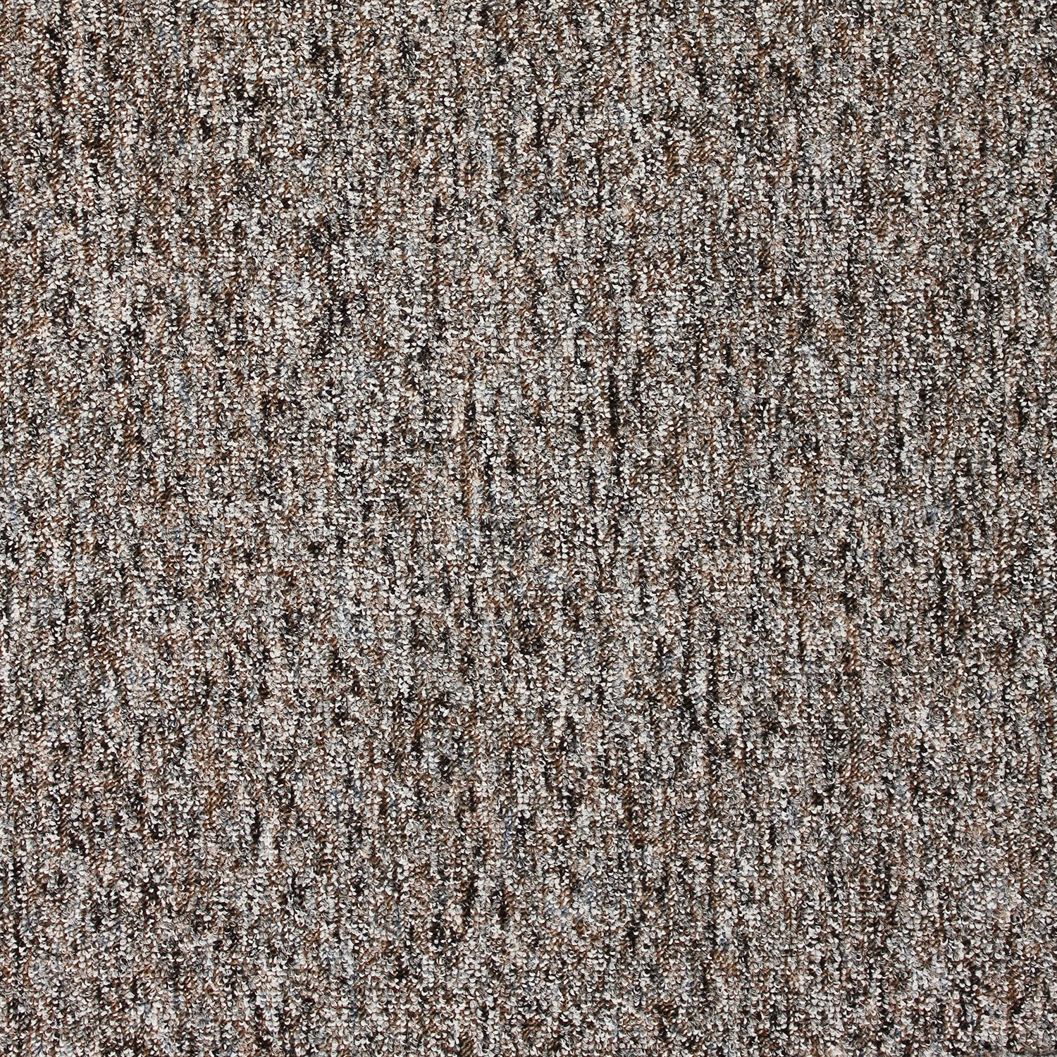 Image of Andiamo Teppichboden »Gambia«, rechteckig, 7 mm Höhe, Meterware, Breite 400 cm oder 500 cm, antistatisch, schallschluckend, Wohnzimmer bei Ackermann Versand Schweiz