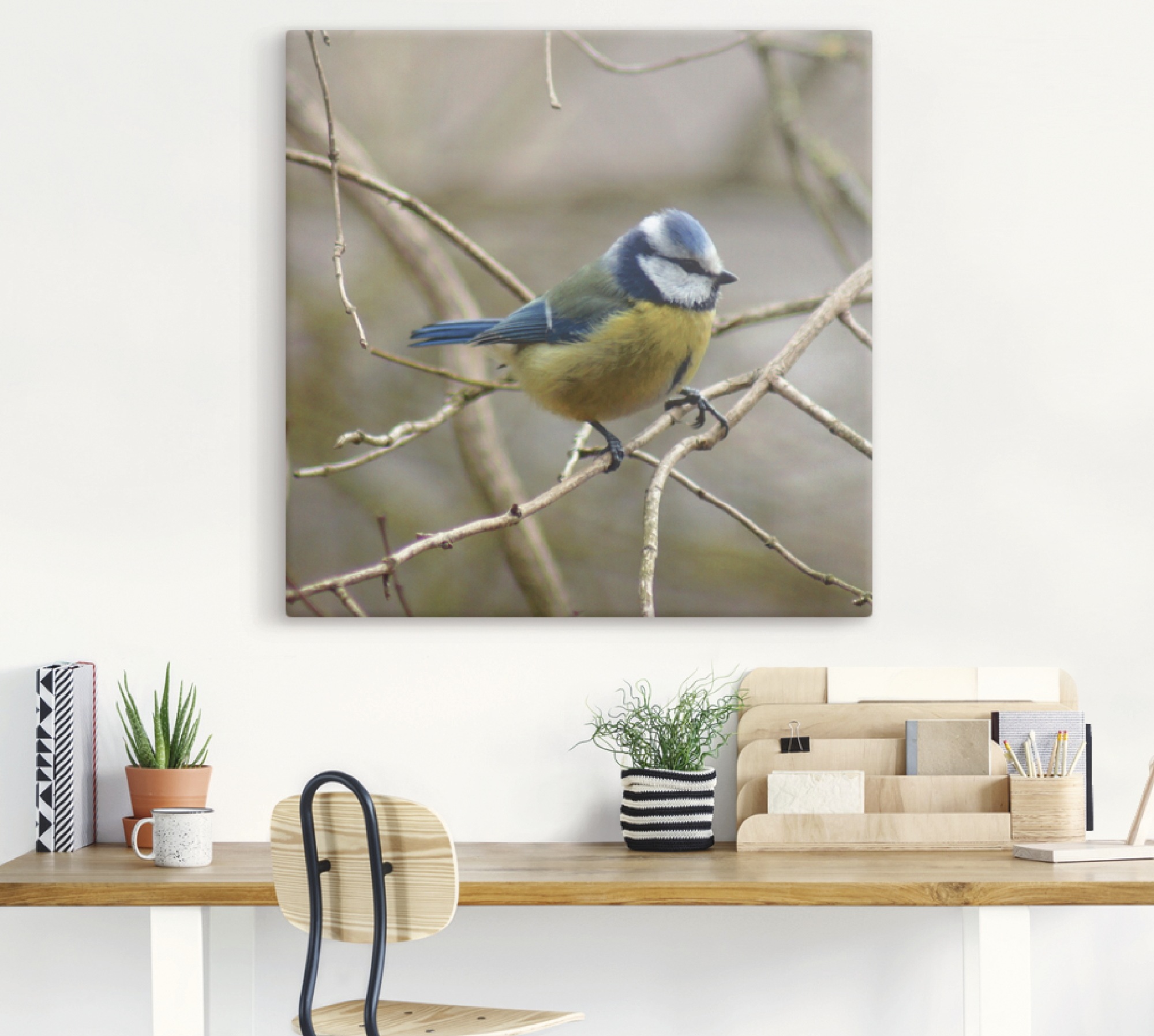 Artland Leinwandbild "Blaumeise" Vögel 1 Stk. tlg. auf Holzrahmen gespannt