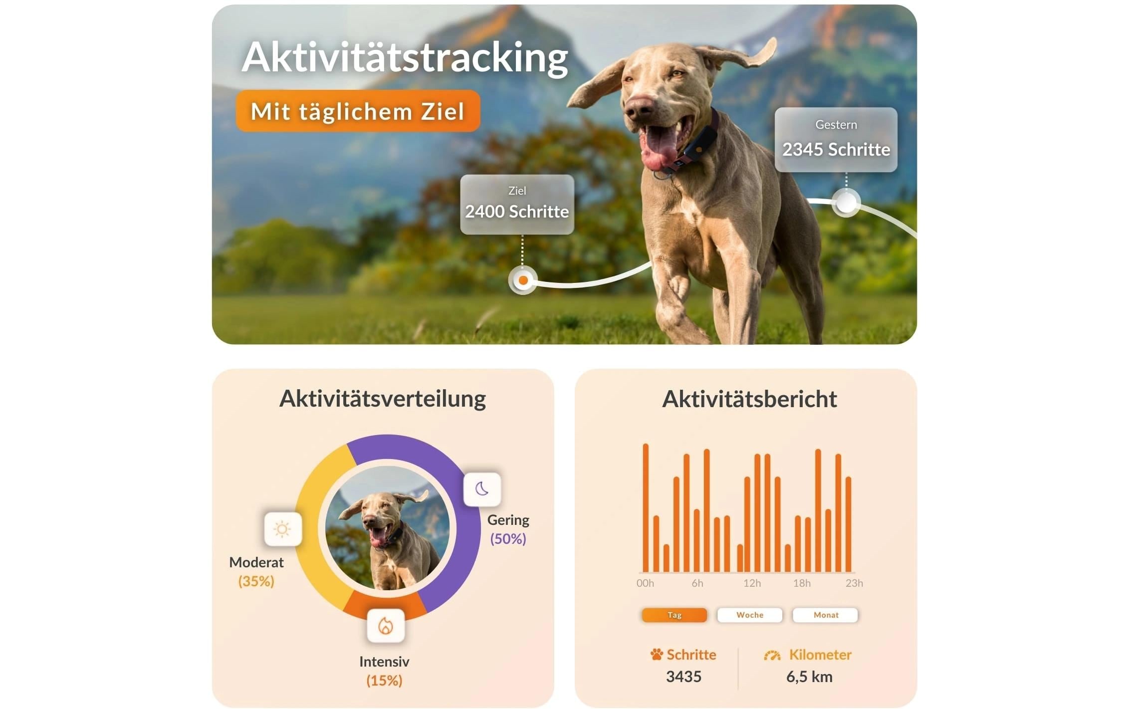   traceur GPS pour chiens »Weenect für Hunde XT mit Halsband«