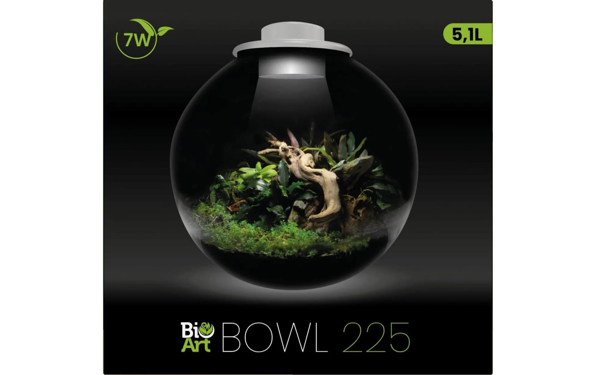   Pflanzeinsatz »Bio Art Bowl 225«