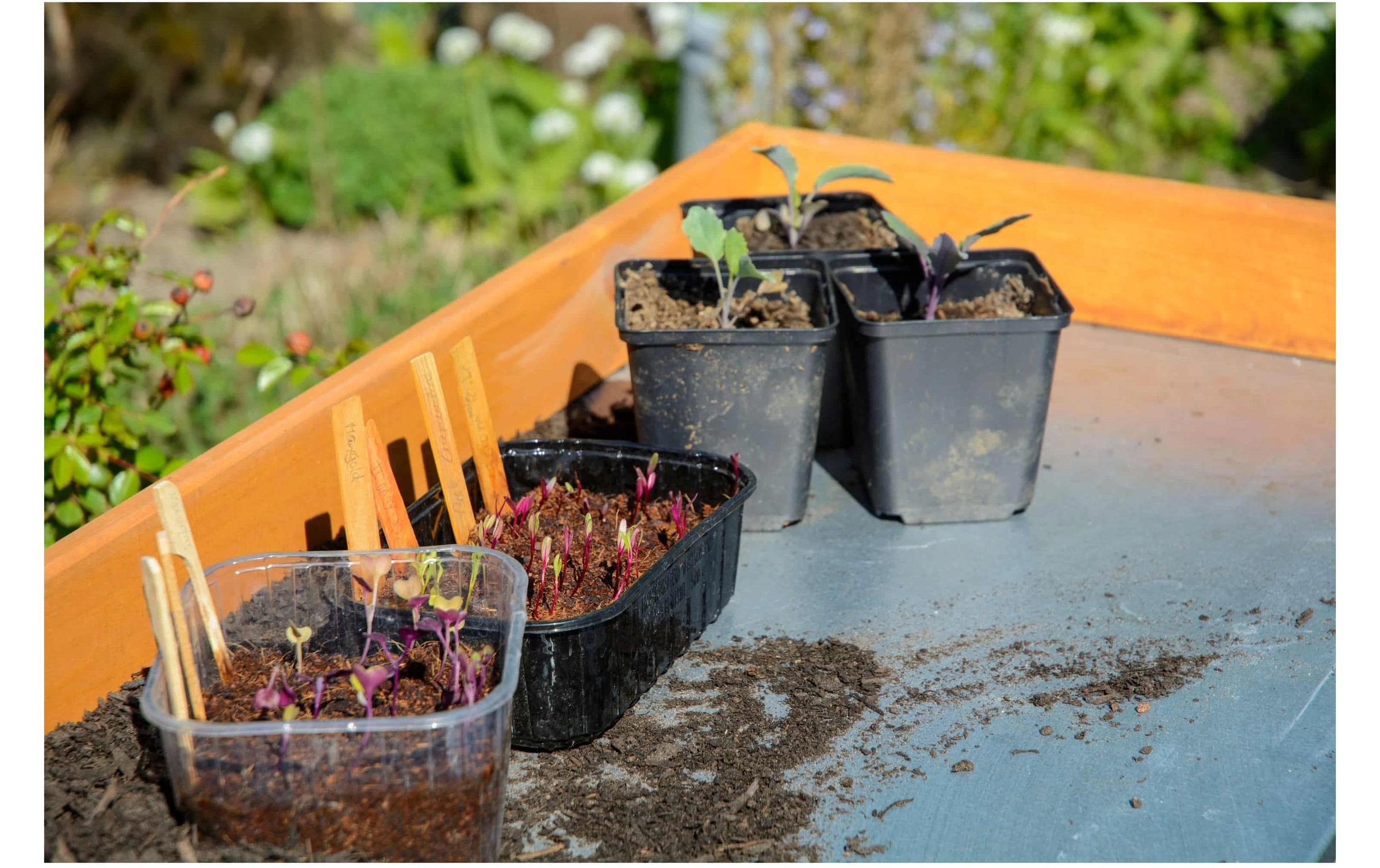 dobar Table de plantation »faltbar mit Ablage«