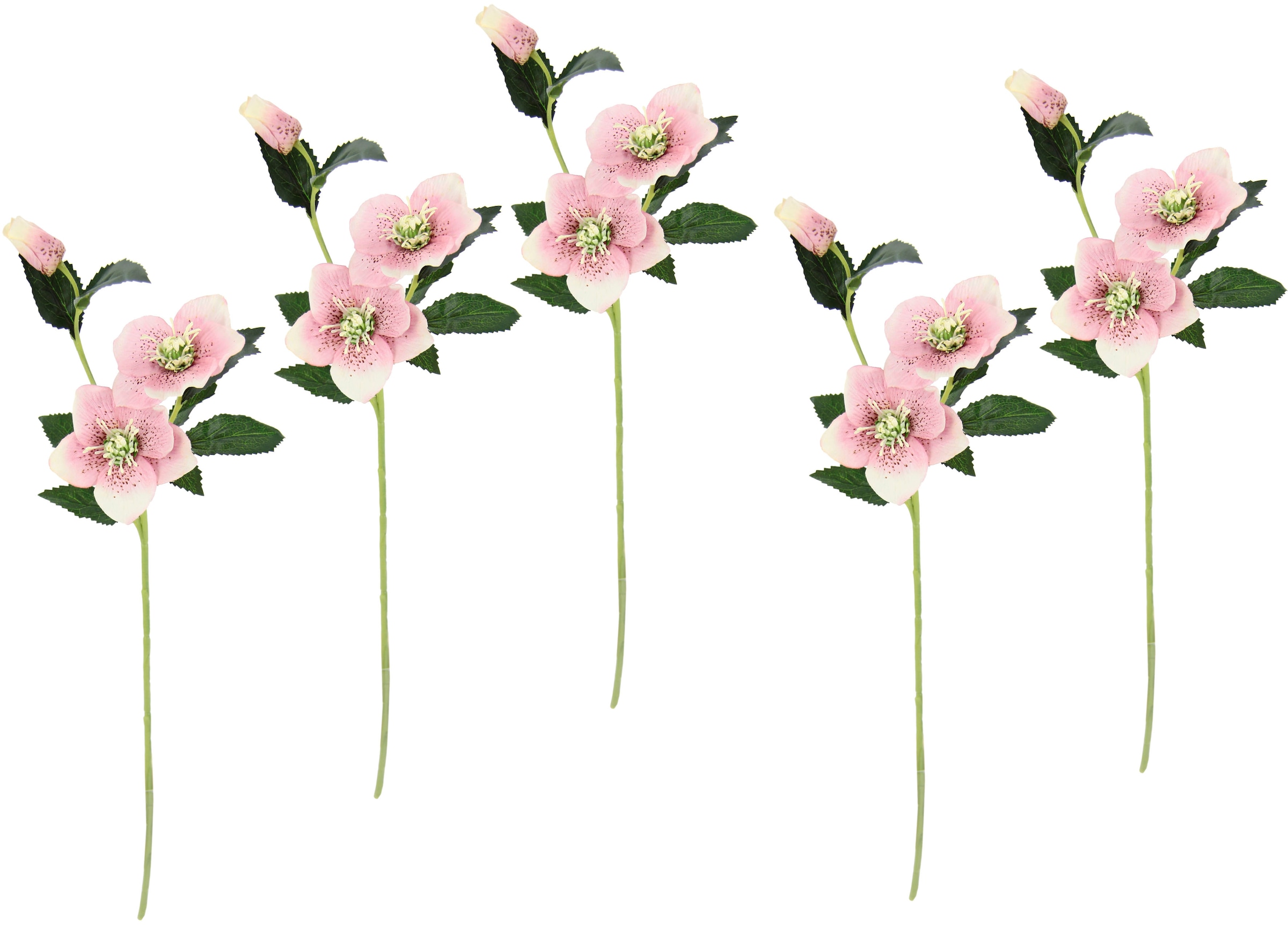 I.GE.A. Kunstblume »Christrose« Künstlich Seidenblumen, 5er Set