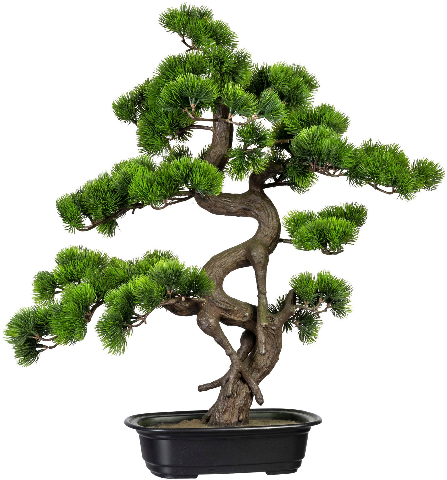 green acheter confortablement Kunstbonsai »Bonsai Kiefer« Creativ