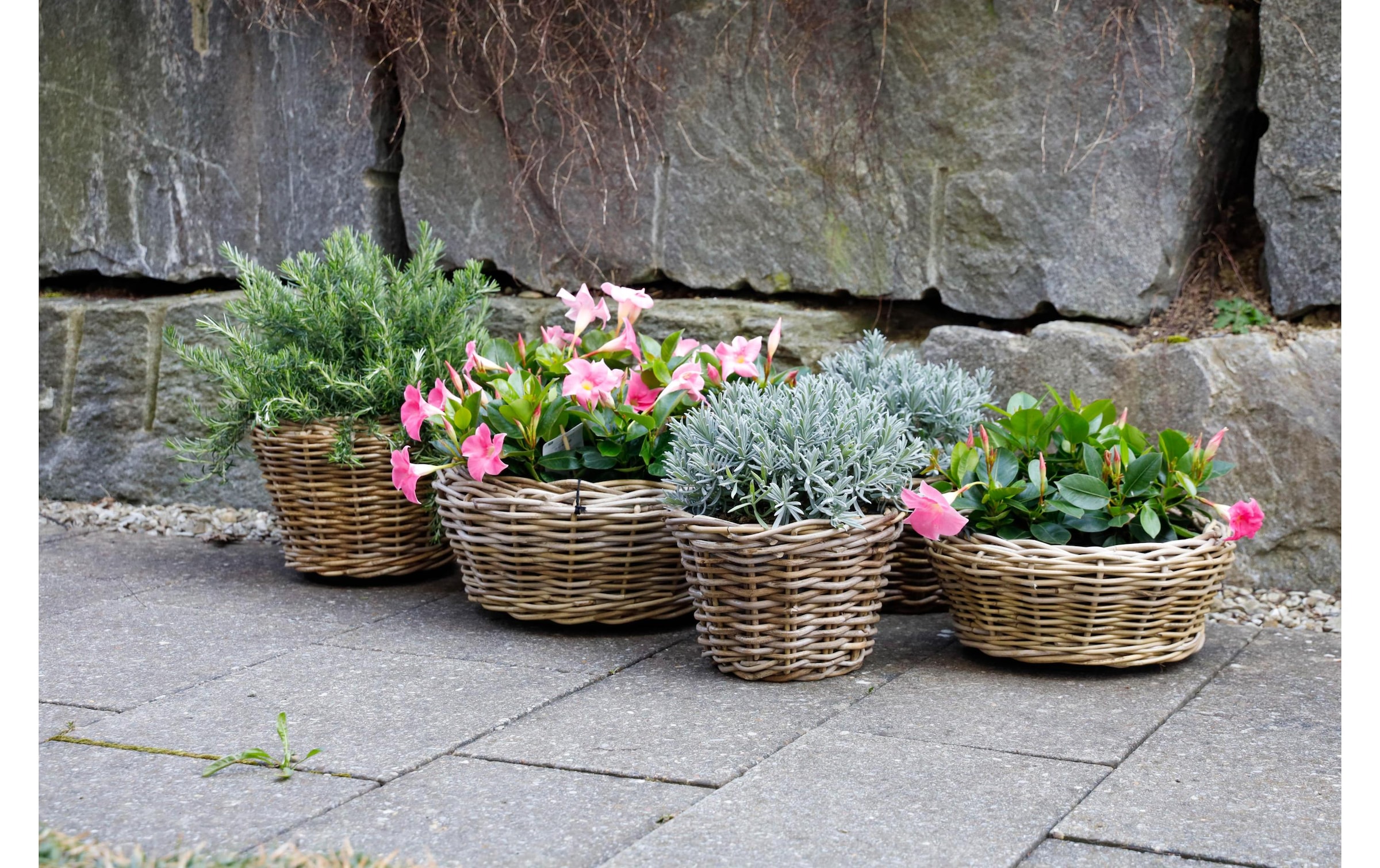 Blumentopf »Jaco Rattan rund Ø 38 cm«, Material: Plastik, Rattan