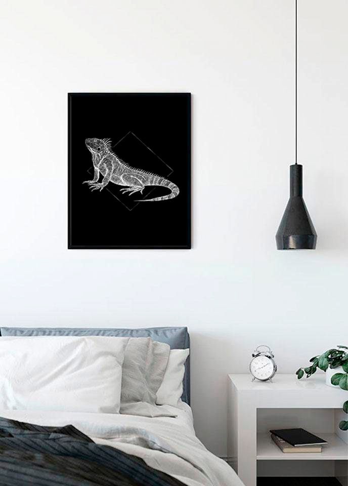 Image of Komar Bild "Iguana Black" Tiere 1 Stk. tlg. Wandbild zur Dekoration - ohne Rahmen