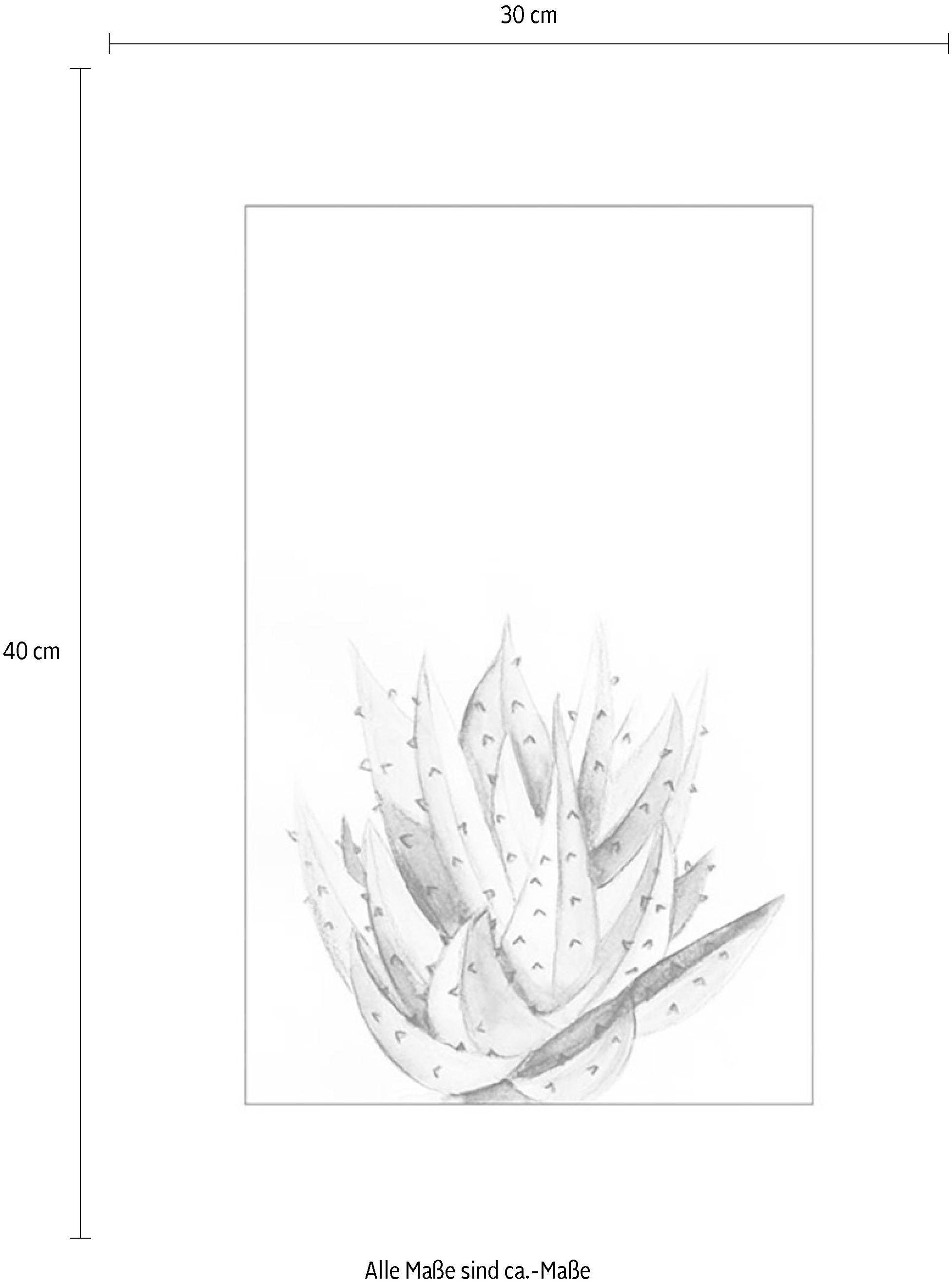 Komar Poster »Aloe kaufen Wohnzimmer St., günstig 1 1), Pflanzen-Blätter, Teile Watercolor«, Schlafzimmer, Kinderzimmer, (Packung, Anzahl