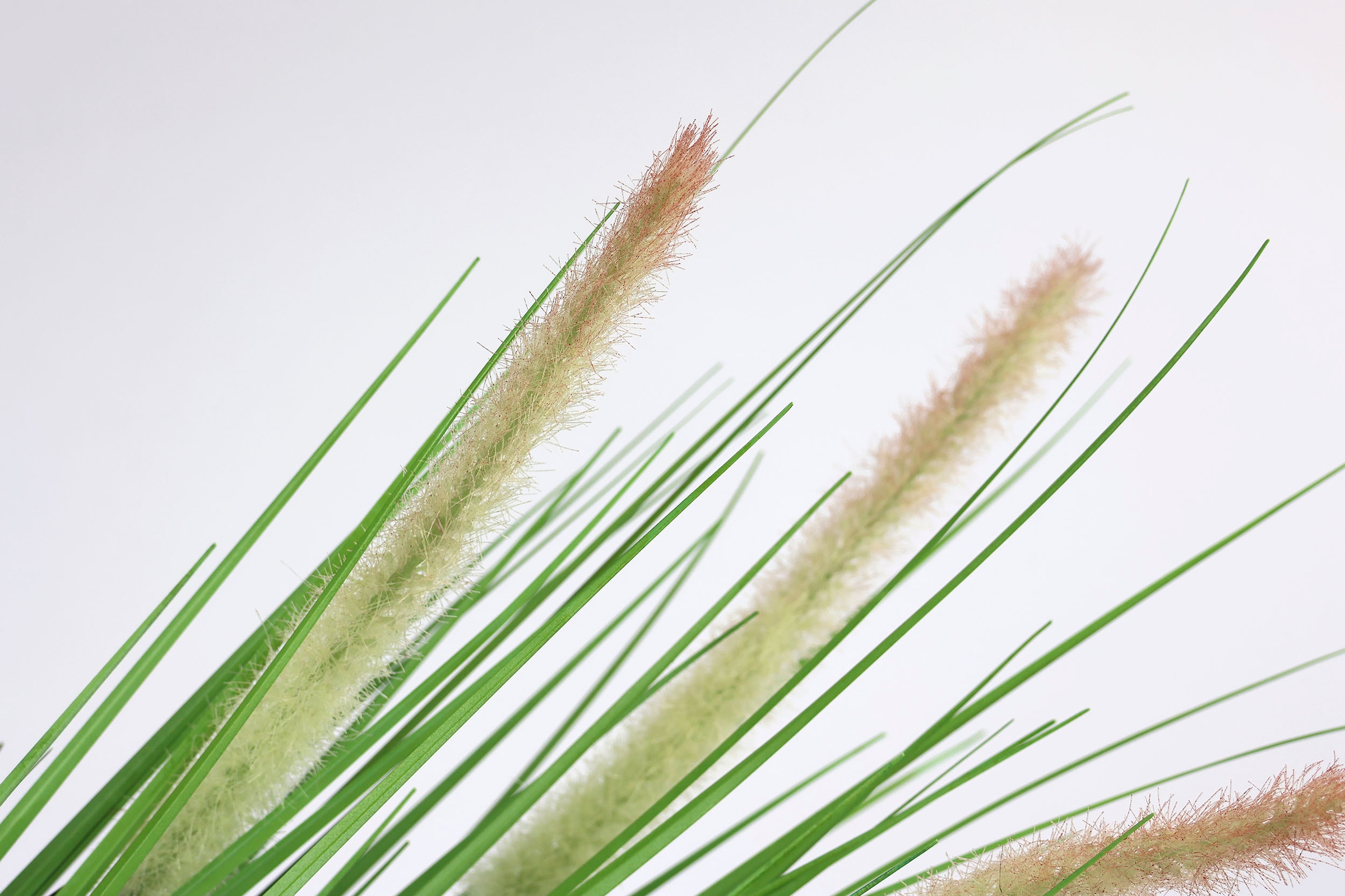 I.GE.A. Kunstpflanze »Gras«