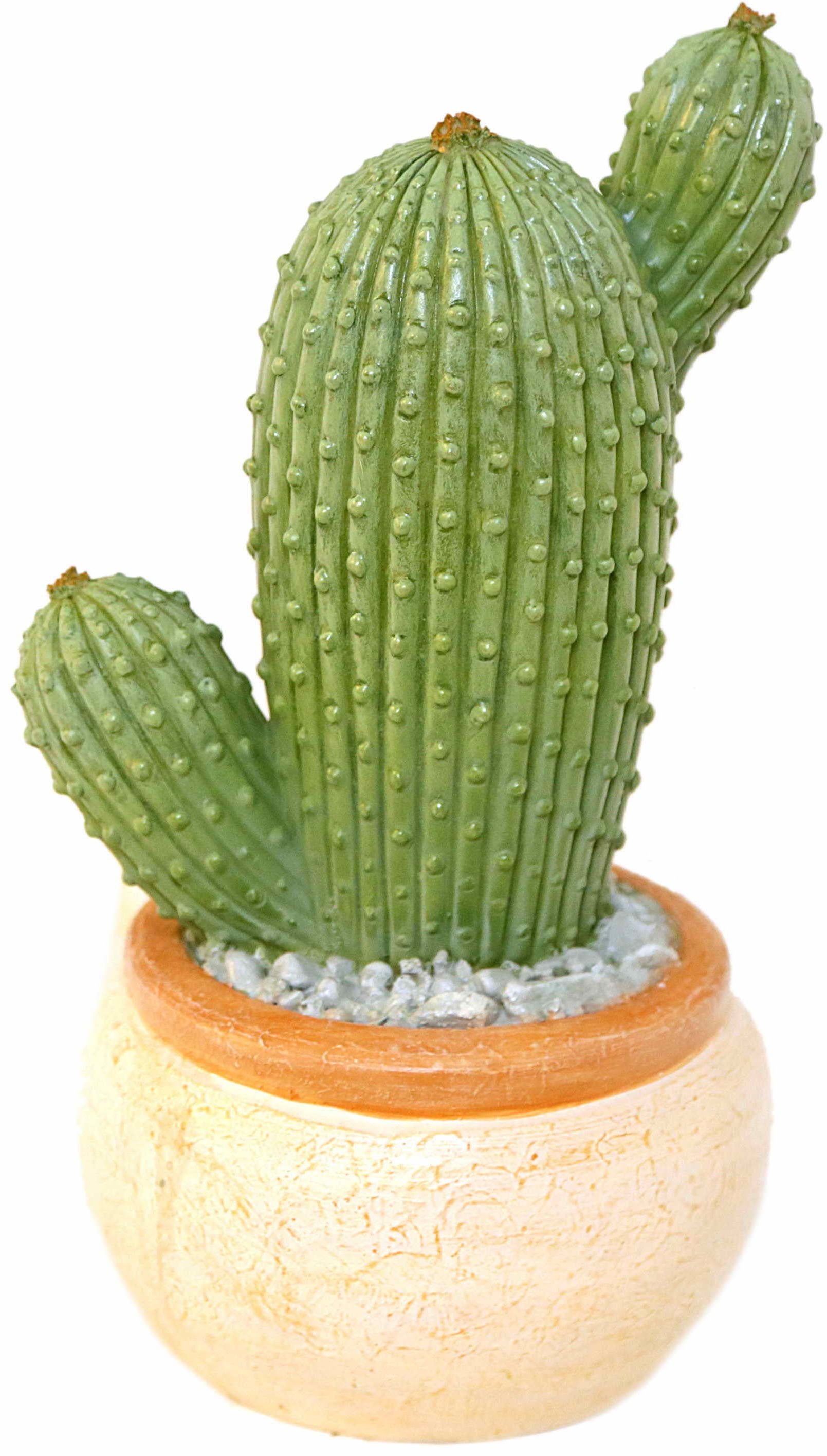 Image of Casa Collection by Jänig Fensterdekoration »Kaktus, Höhe: 25cm«, (1 St.) bei Ackermann Versand Schweiz