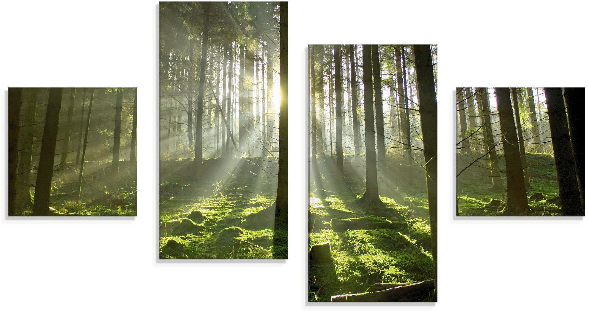 Image of Artland Glasbild »Wald im Gegenlicht«, Wald, (4 St.) bei Ackermann Versand Schweiz