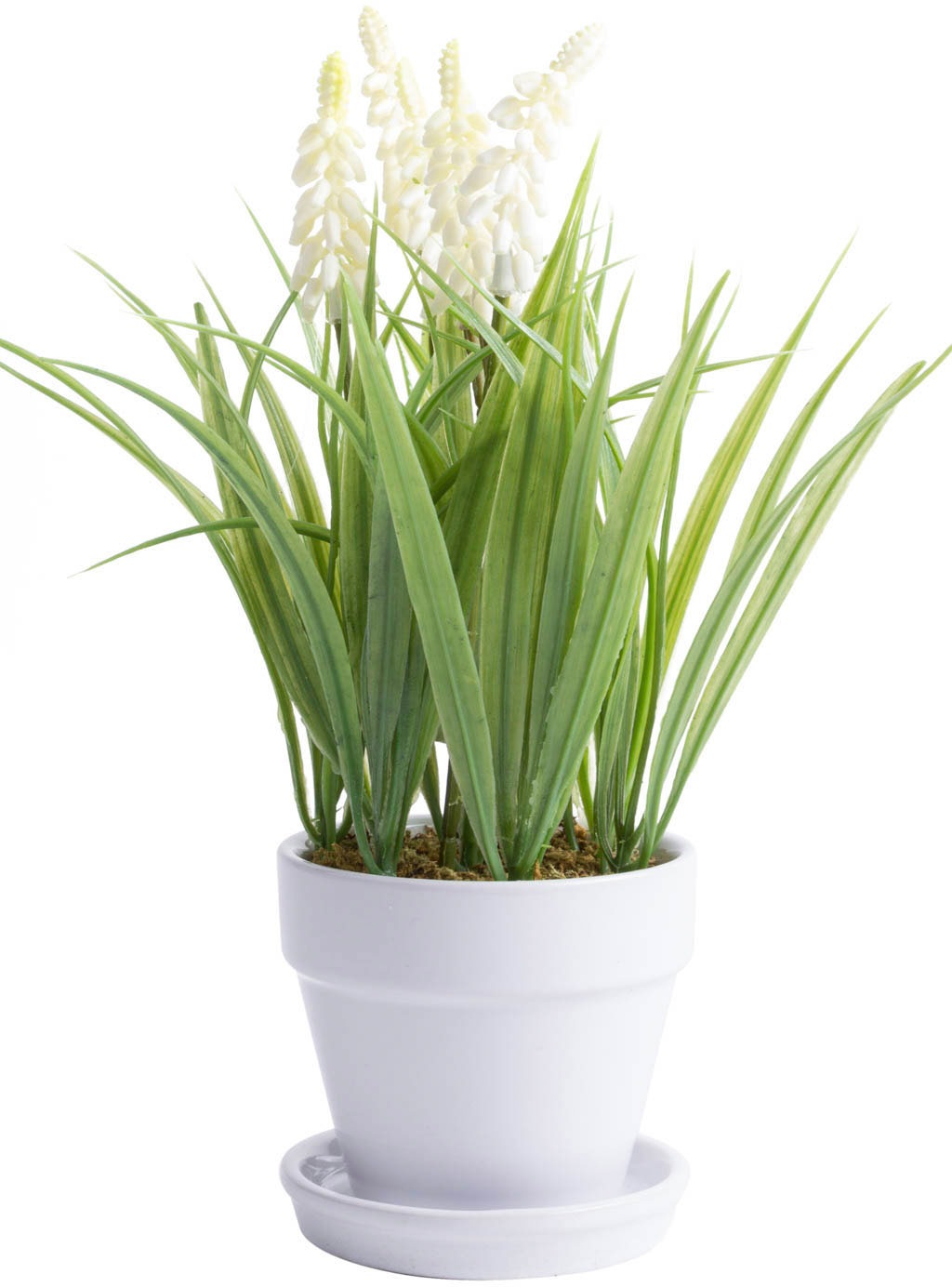 Image of Botanic-Haus Kunstblume »Muskari getopft«, (1 St.) bei Ackermann Versand Schweiz