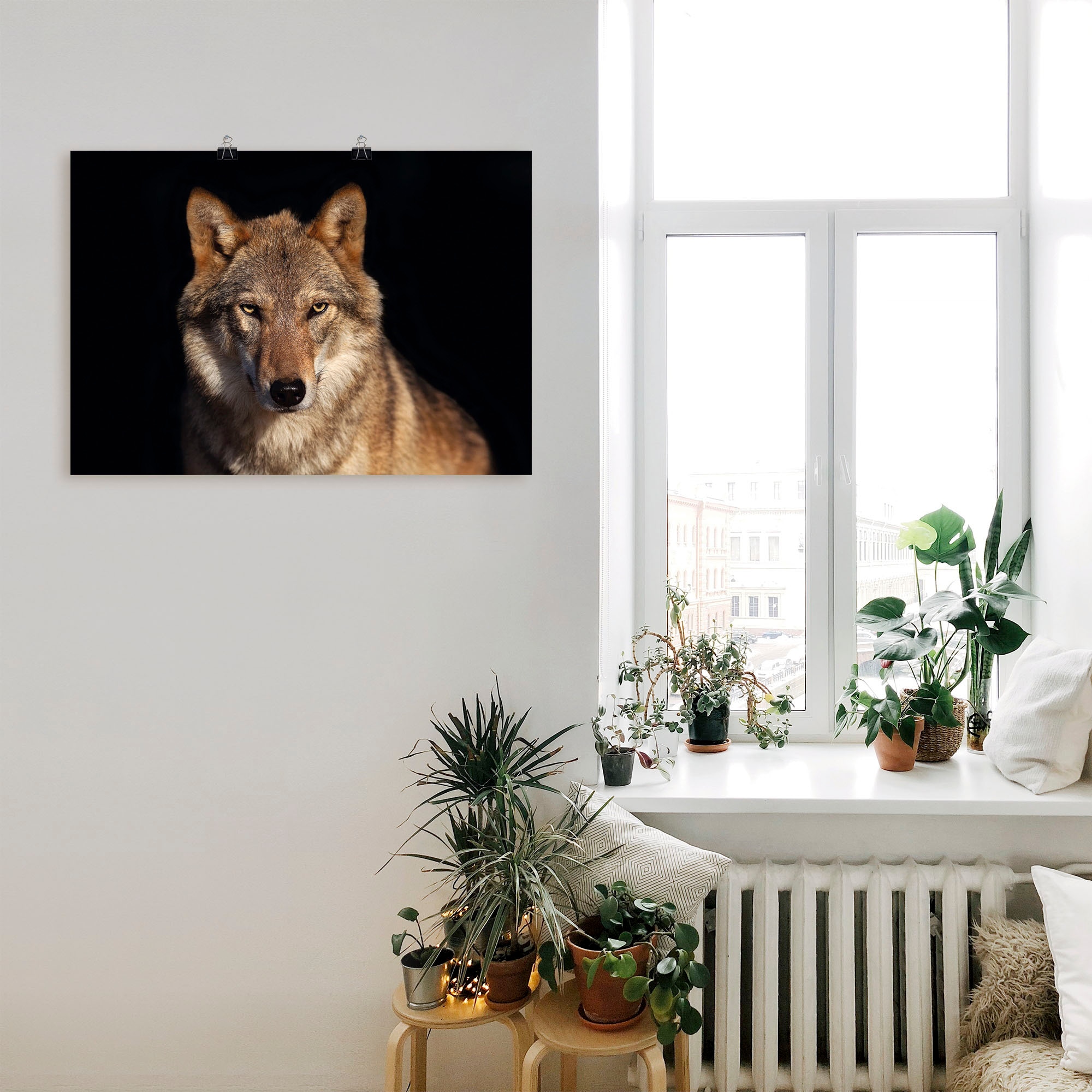 Artland »Wolf«, Wildtiere, versch. Wandbild Poster als Grössen Alubild, oder Wandaufkleber (1 günstig Leinwandbild, St.), in kaufen