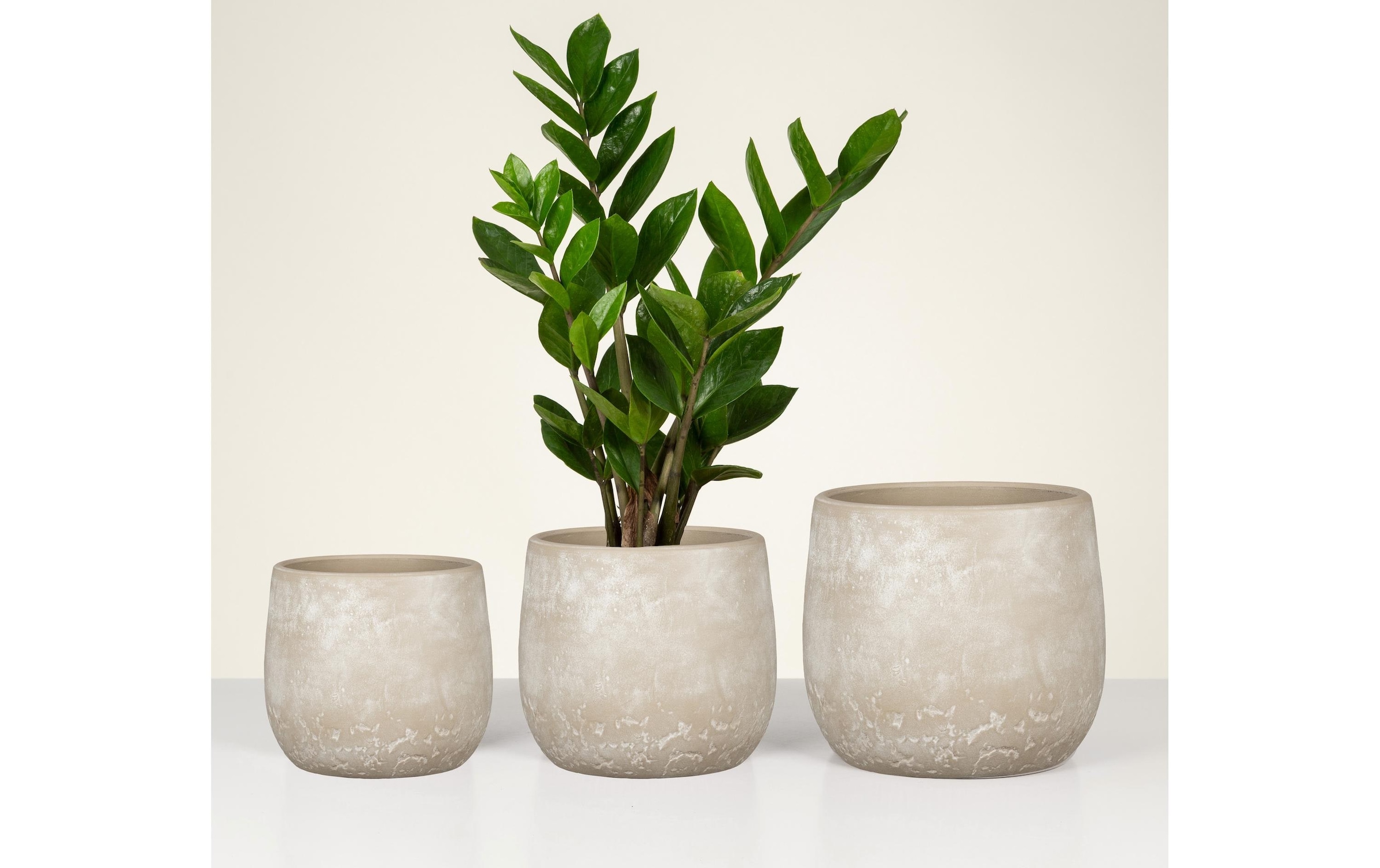 Scheurich Blumentopf »Dune 6,1 l«