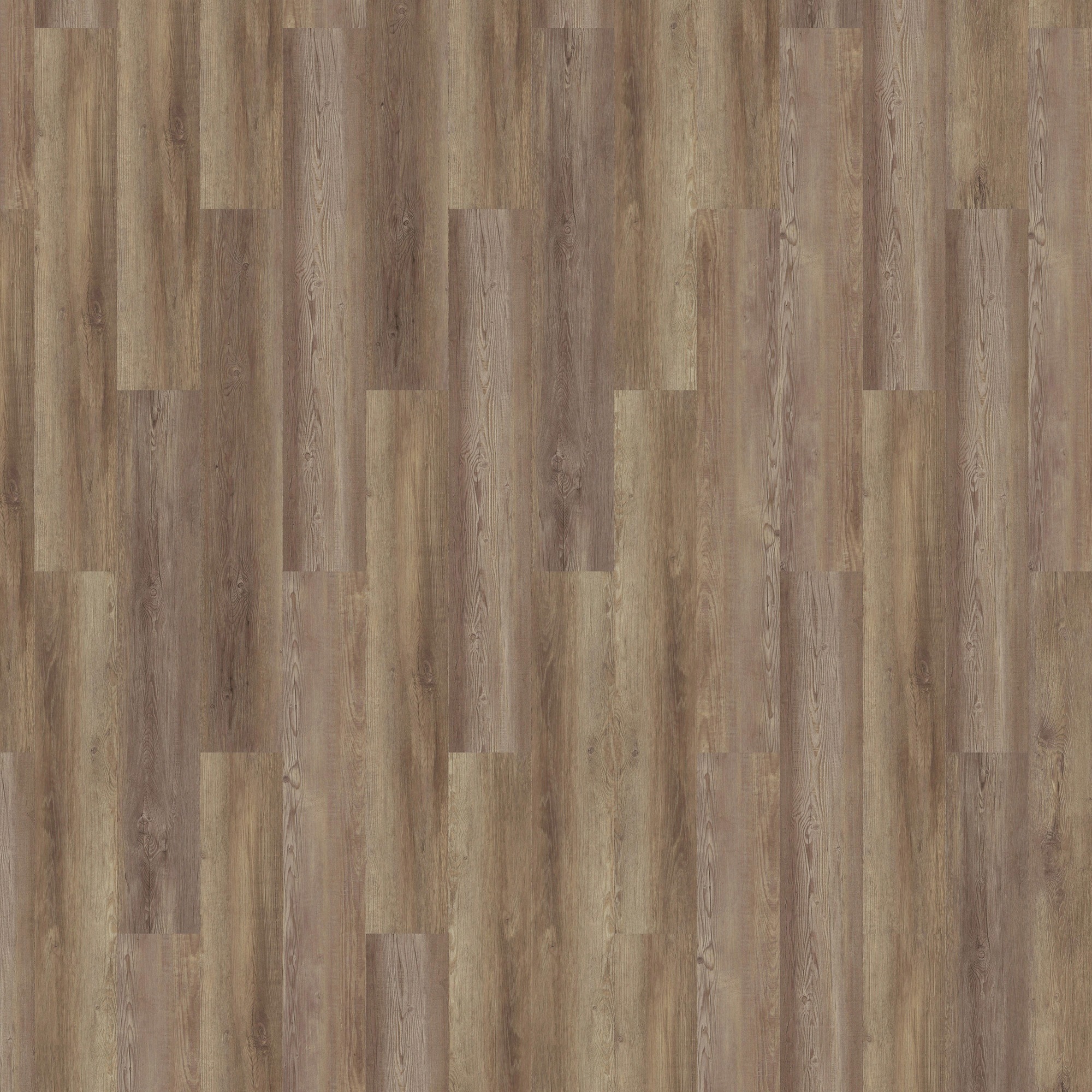 Image of Bodenmeister Vinylboden, Klick-Technik, 2.76 qm bei Ackermann Versand Schweiz