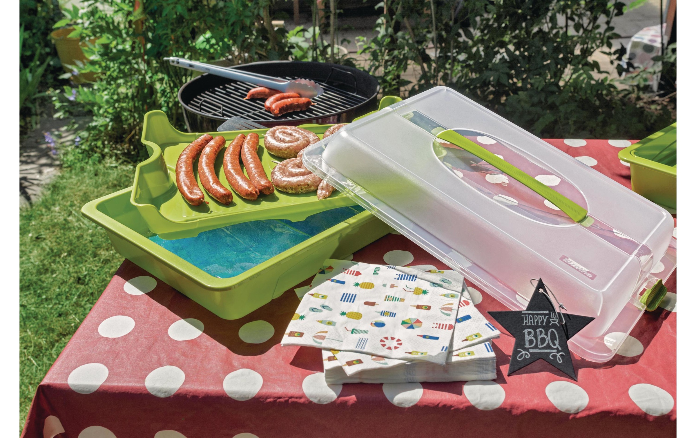 ROTHO Kuchentransportbox »COOL & FRESH hellgrün«, (1 tlg.)