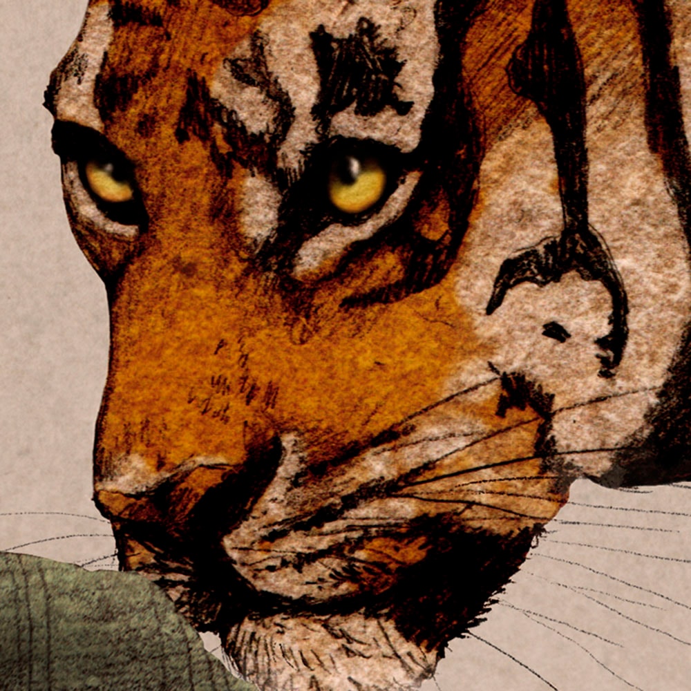 Komar Fototapete »Digitaldruck Vlies - Tiger Jungle - Grösse 400 x 250 cm«, bedruckt, Wohnzimmer, Schlafzimmer