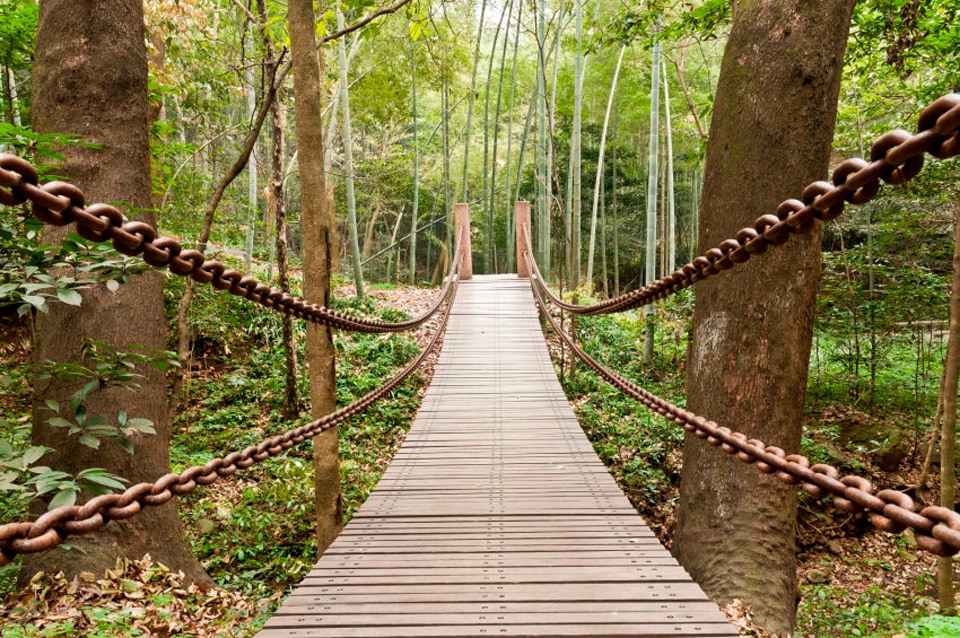 Image of Papermoon Fototapete »Suspension Bridge«, matt, BlueBack, 7 Bahnen, 350 x 260 cm bei Ackermann Versand Schweiz