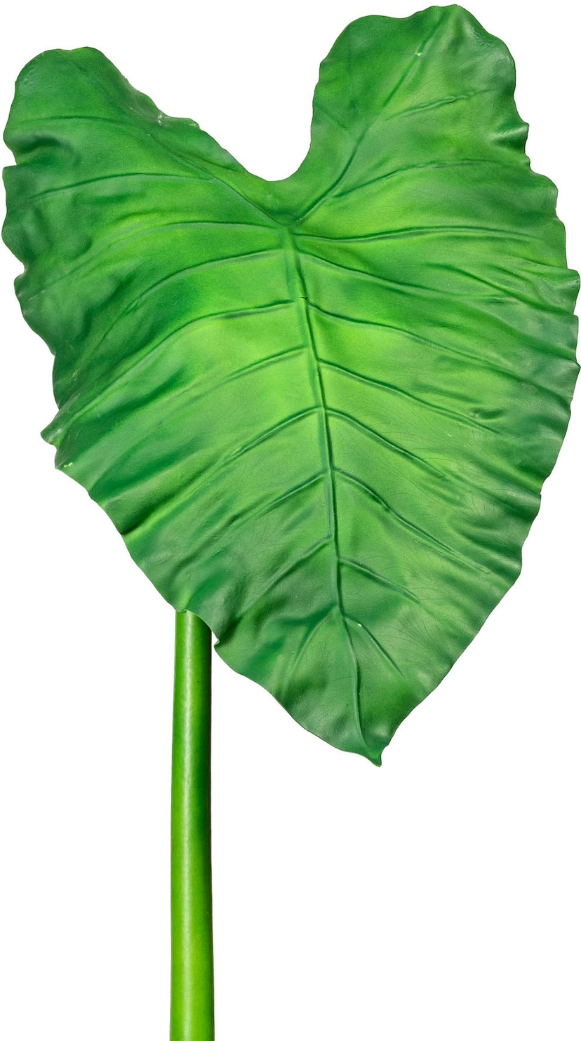 Creativ green Kunstzweig »Lotusblatt«, 2er kaufen günstig Set