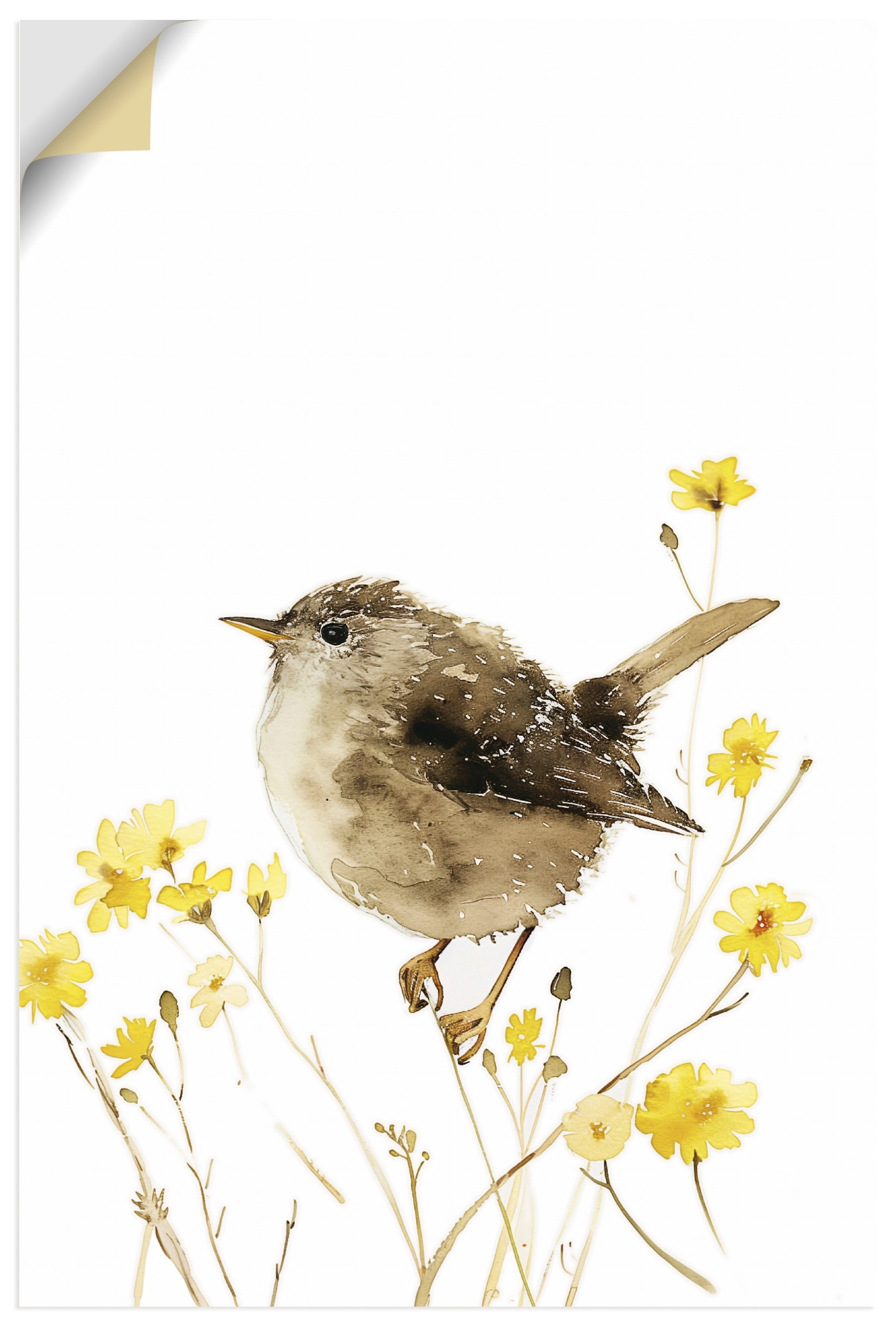 Image of Artland Wandbild "Aquarell Zaunkönig" Vogelbilder 1 Stk. tlg. als Alubild, Leinwandbild, Poster, Wandaufkleber in verschied. Grössen