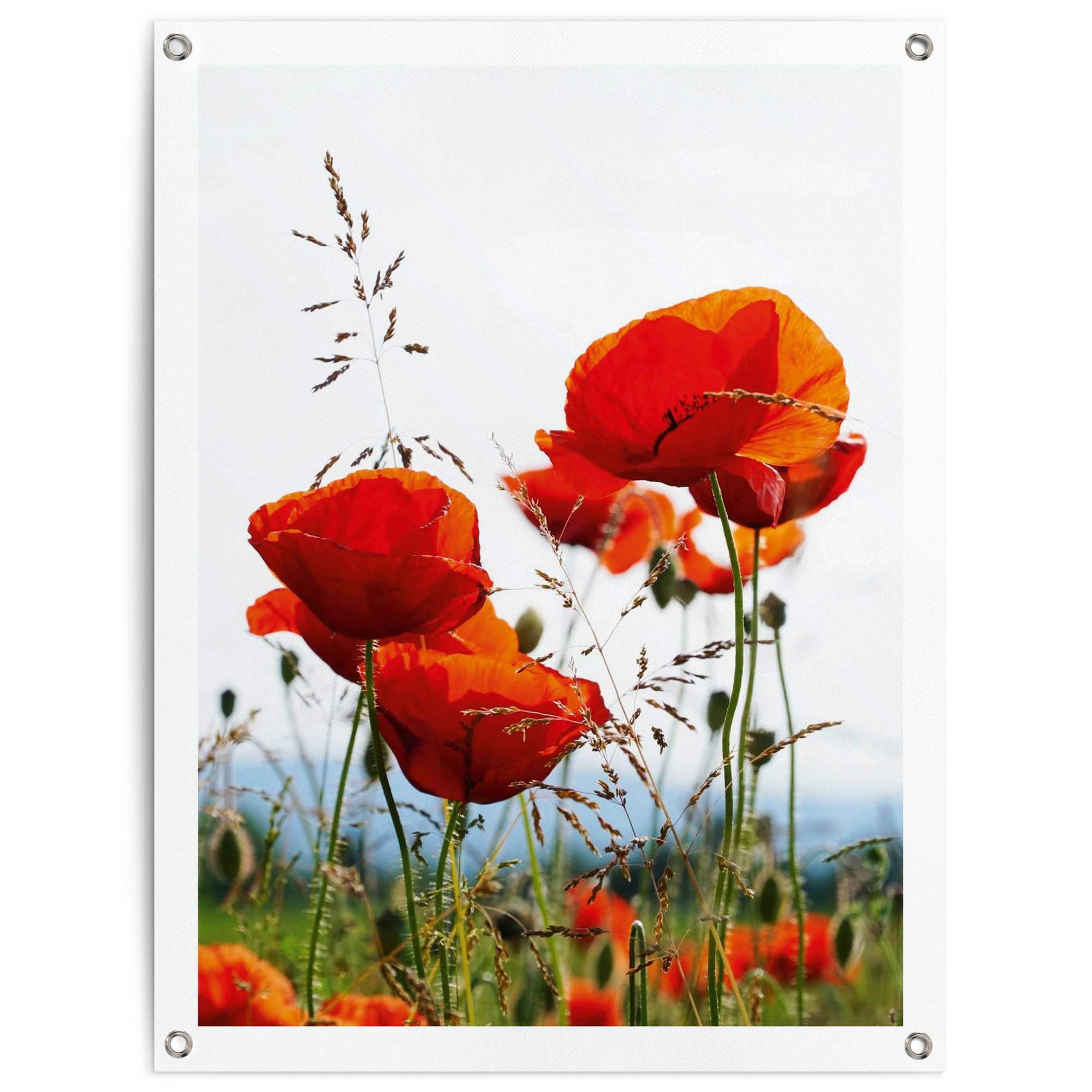 Image of Reinders Poster "Mohnblumen" Outdoor für Garten oder Balkon