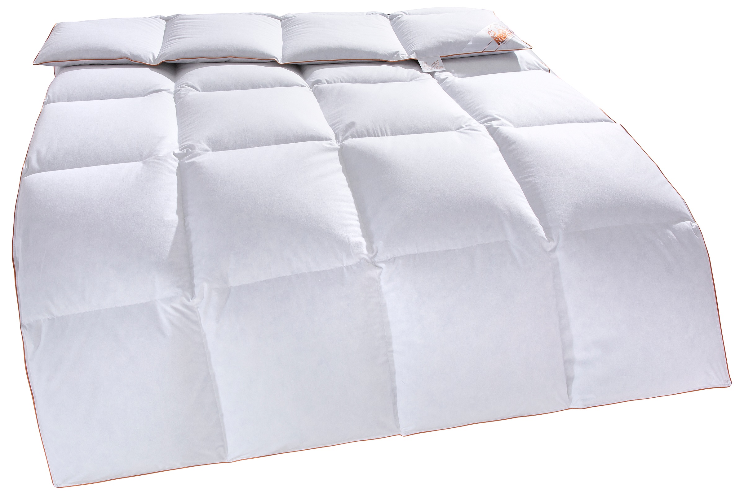 RIBECO Daunenbettdecke "Richard, Bettdecken für Sommer oder Winter, Made in Germany" normal Füllung 90Daune10Federn 1 Stk. tlg. Bettdecke 135x200 cm, 155x220 cm und weitere Größen, Decke