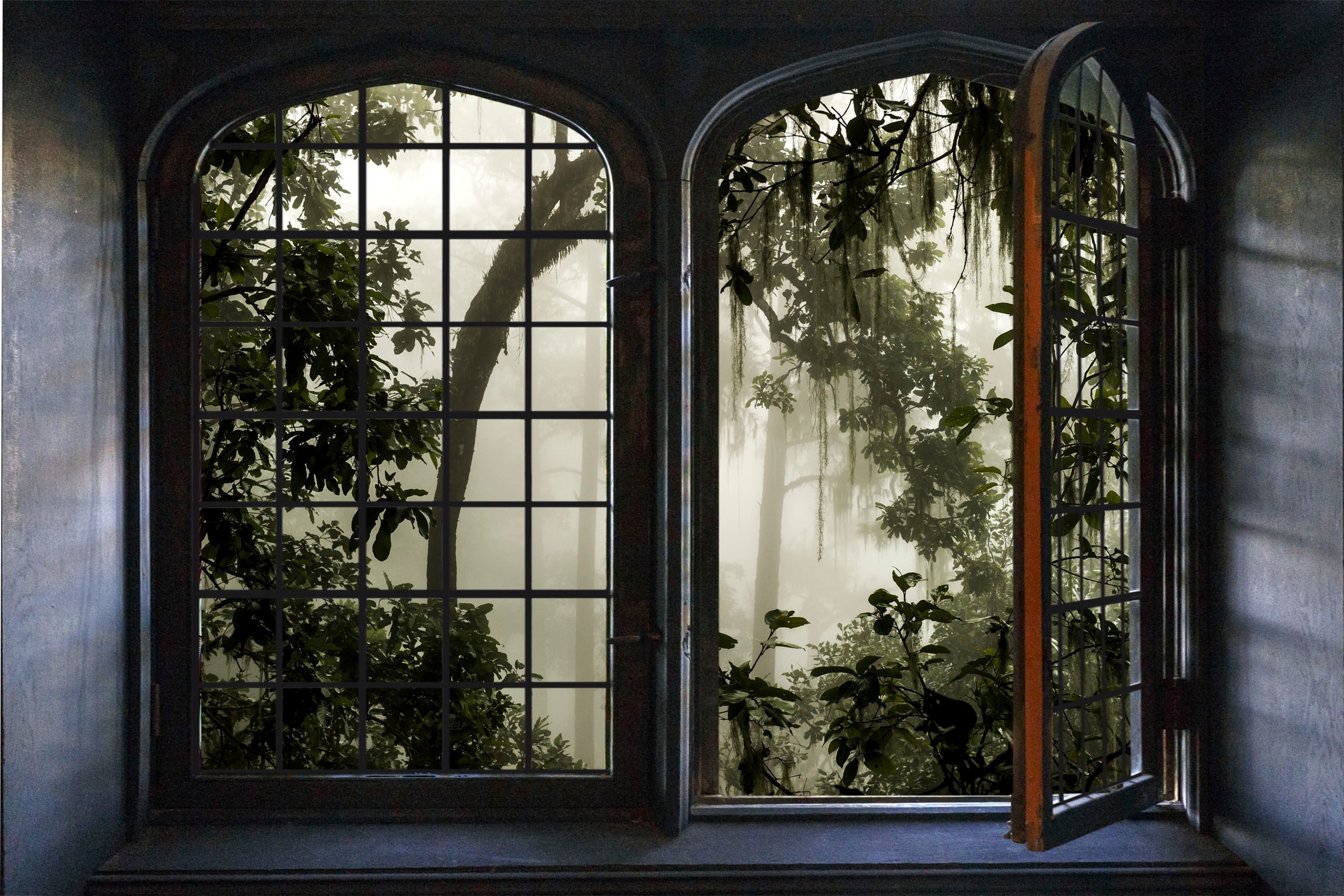 queence Wandsticker »Urwald« Wandsticker, Wandbild, selbstklebend, 3D, Fenster