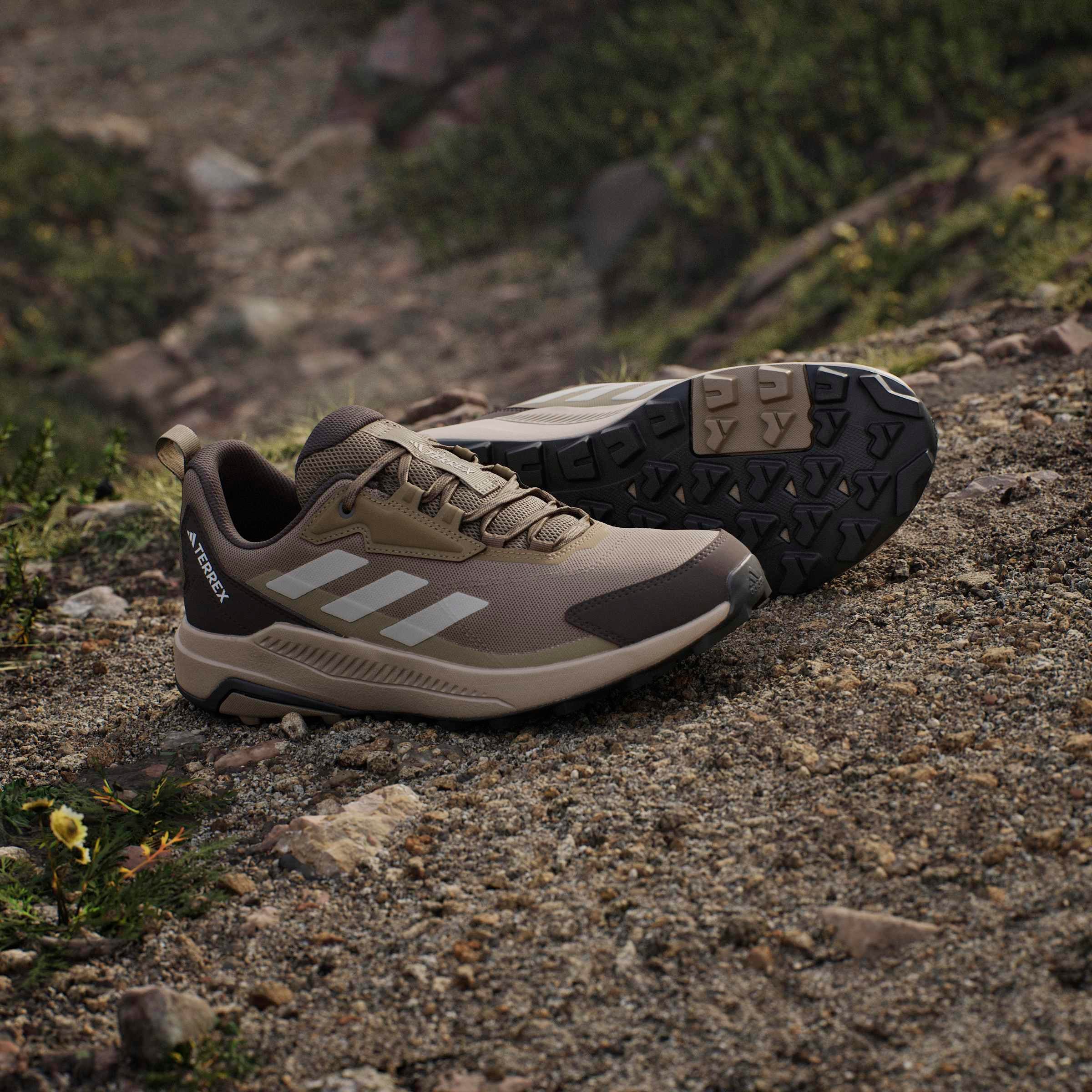 adidas TERREX Chaussure de randonnée »ANYLANDER«