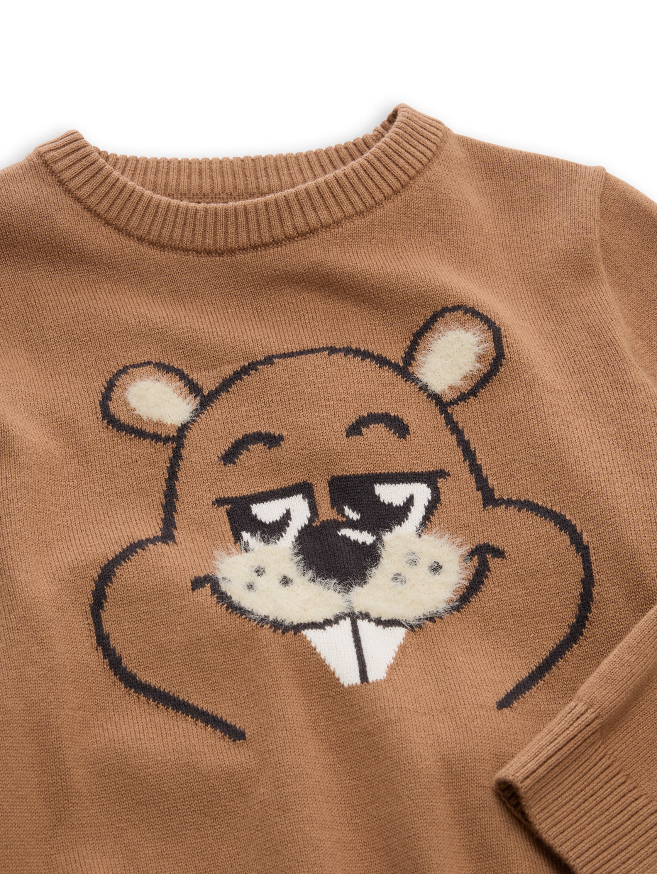 TOM TAILOR Pull en tricot Avec motif castor / pour enfants