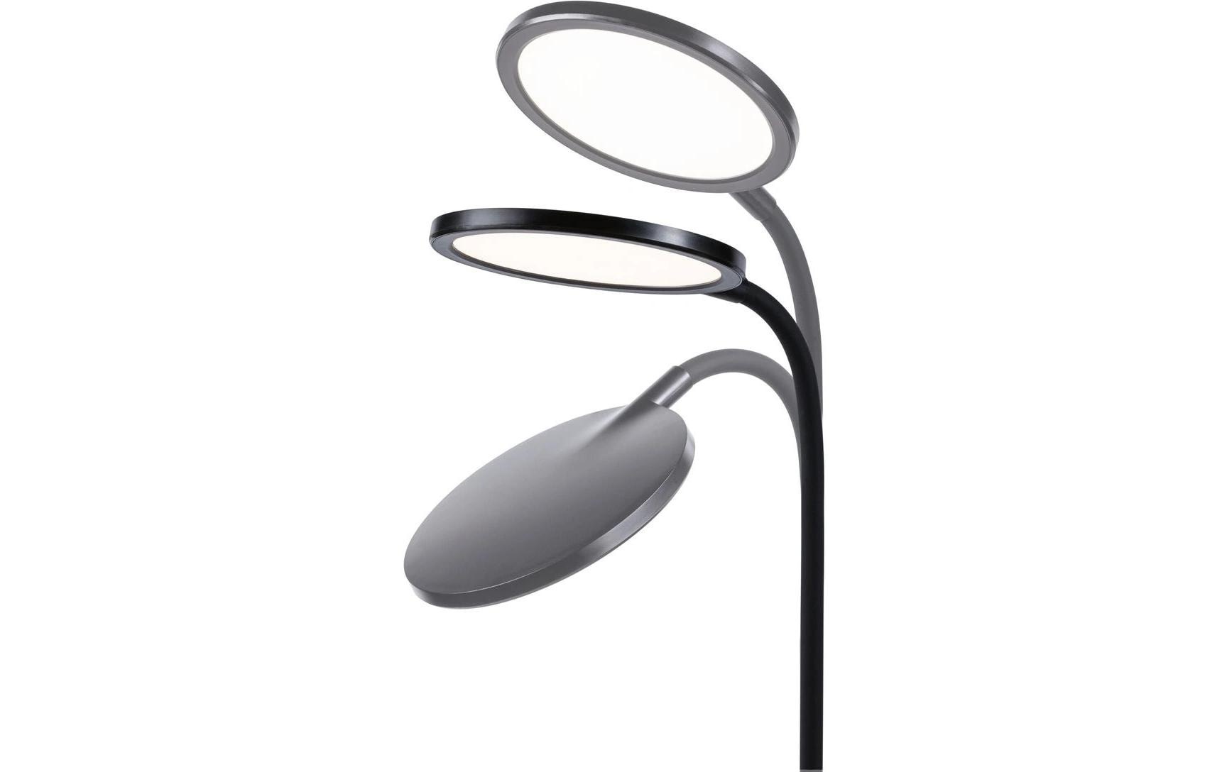 Paulmann Lampe de bureau LED »Paulmann Schreibtischleuchte Schwarz, matt« Module LED blanc chaud