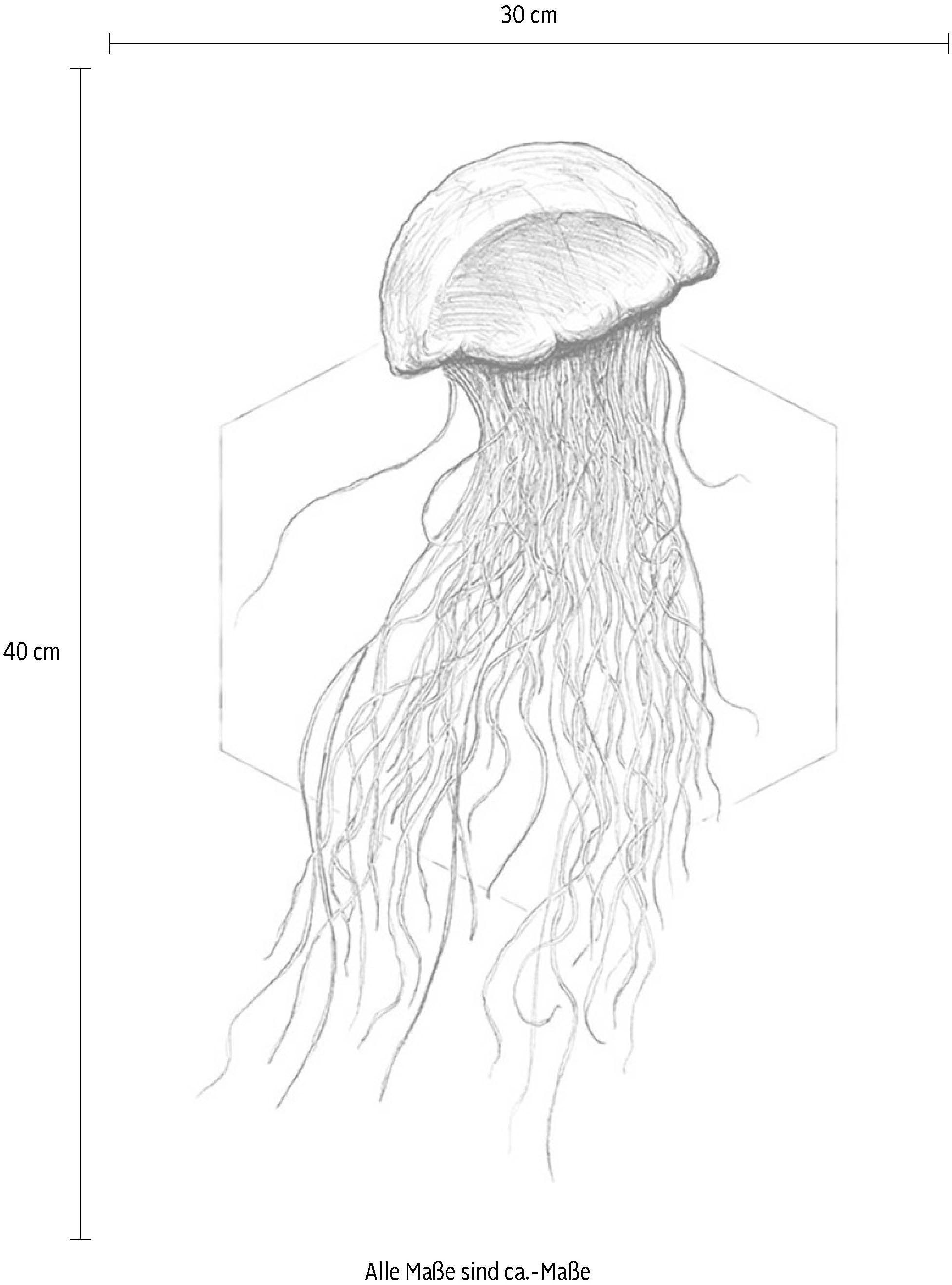 Komar Image »Jellyfish White« Animaux 1 cuis tlg. Wandbild zur Dekoration - ohne Rahmen
