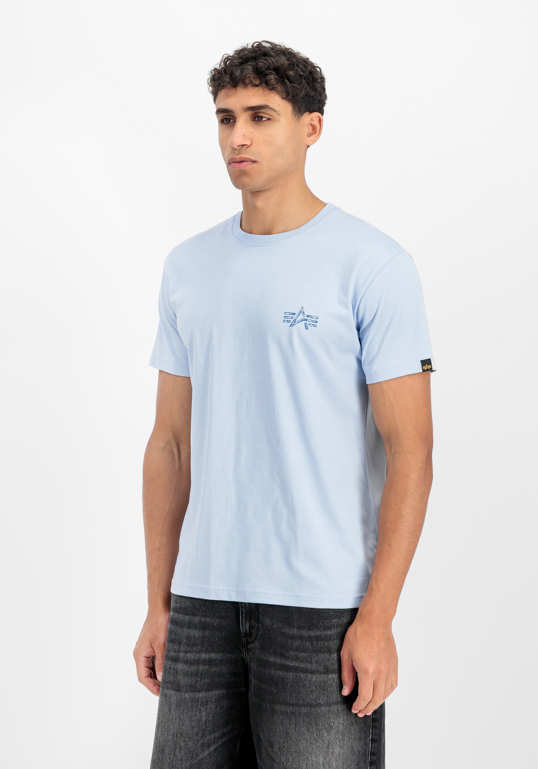 Image of Alpha Industries T-Shirt "Signature Backprint T-Shirt"