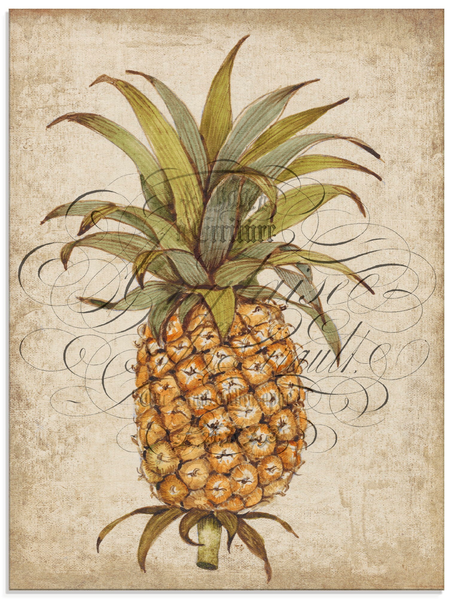 Image of Artland Glasbild »Ananas II«, Lebensmittel, (1 St.) bei Ackermann Versand Schweiz