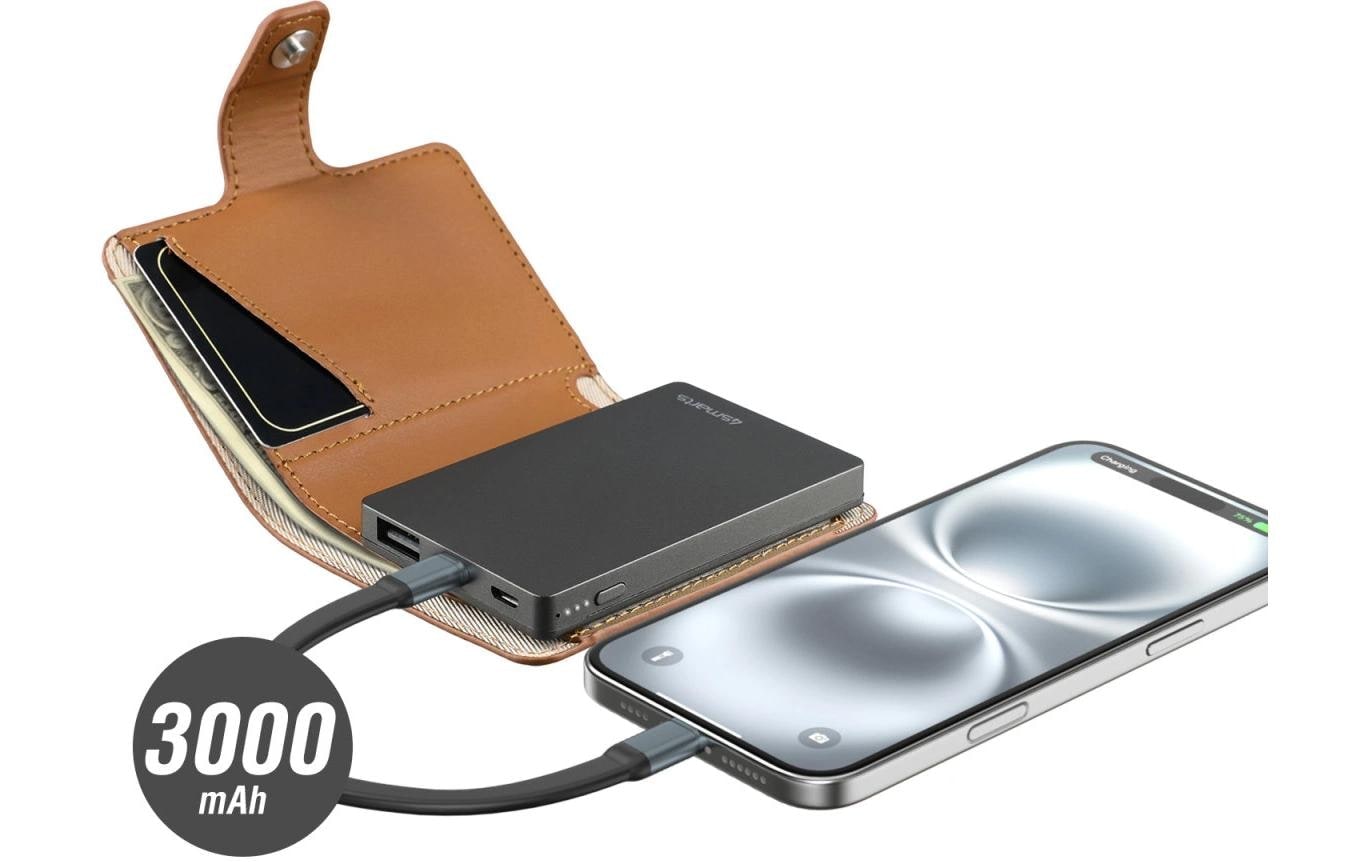 4smarts Powerbank »PowrWallet 3000 mAh«