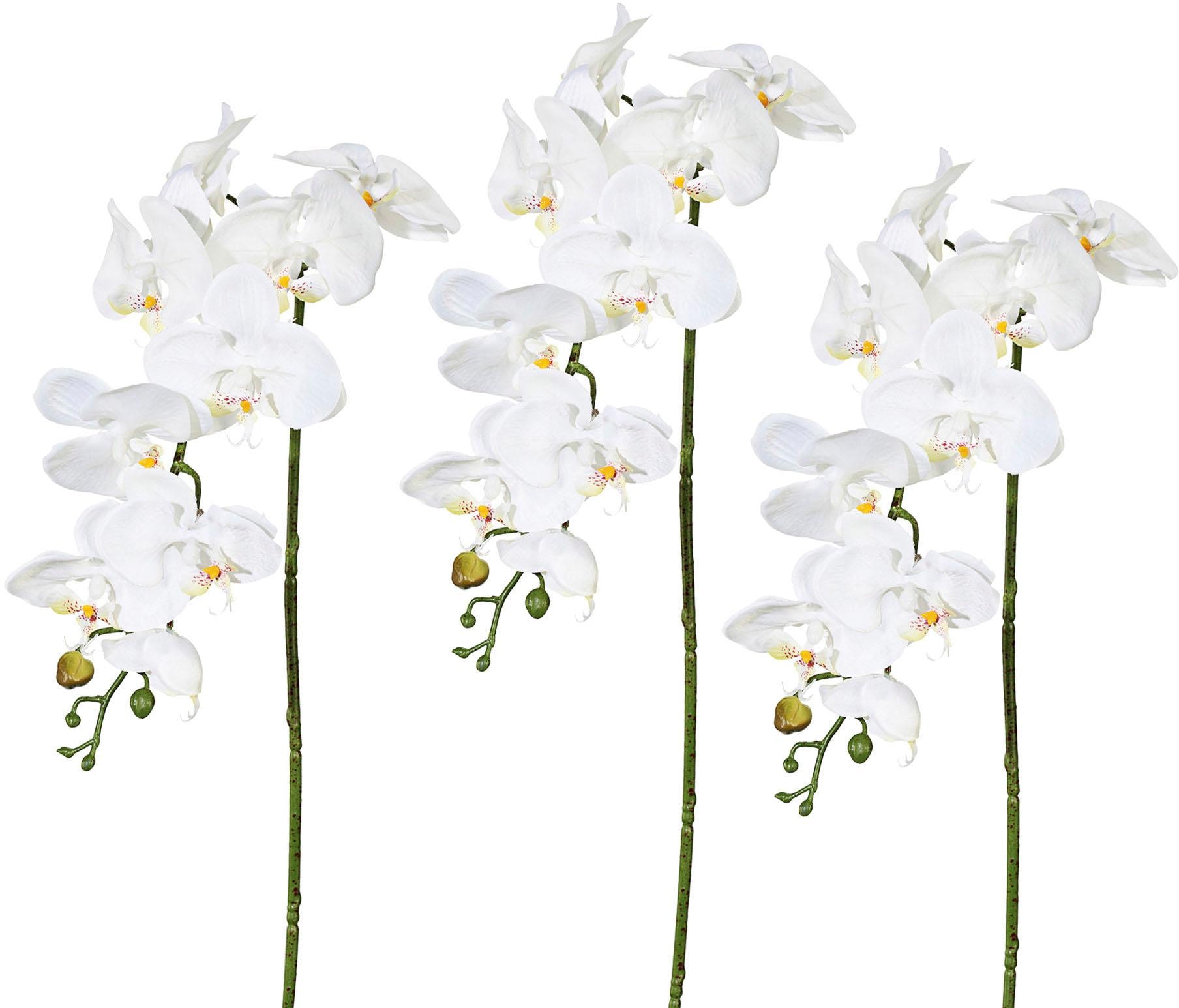 green Kunstpflanze »Orchidee« Creativ kaufen jetzt