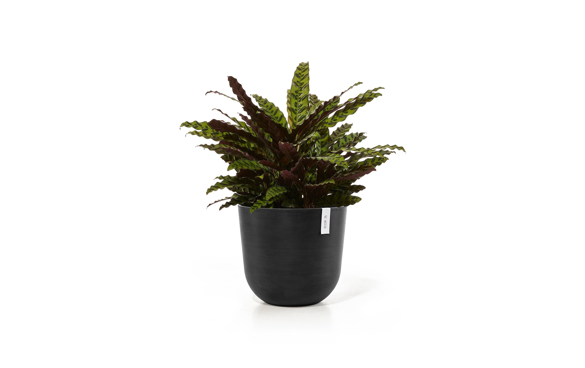 ECOPOTS Blumentopf »Oslo 35 Dunkel«