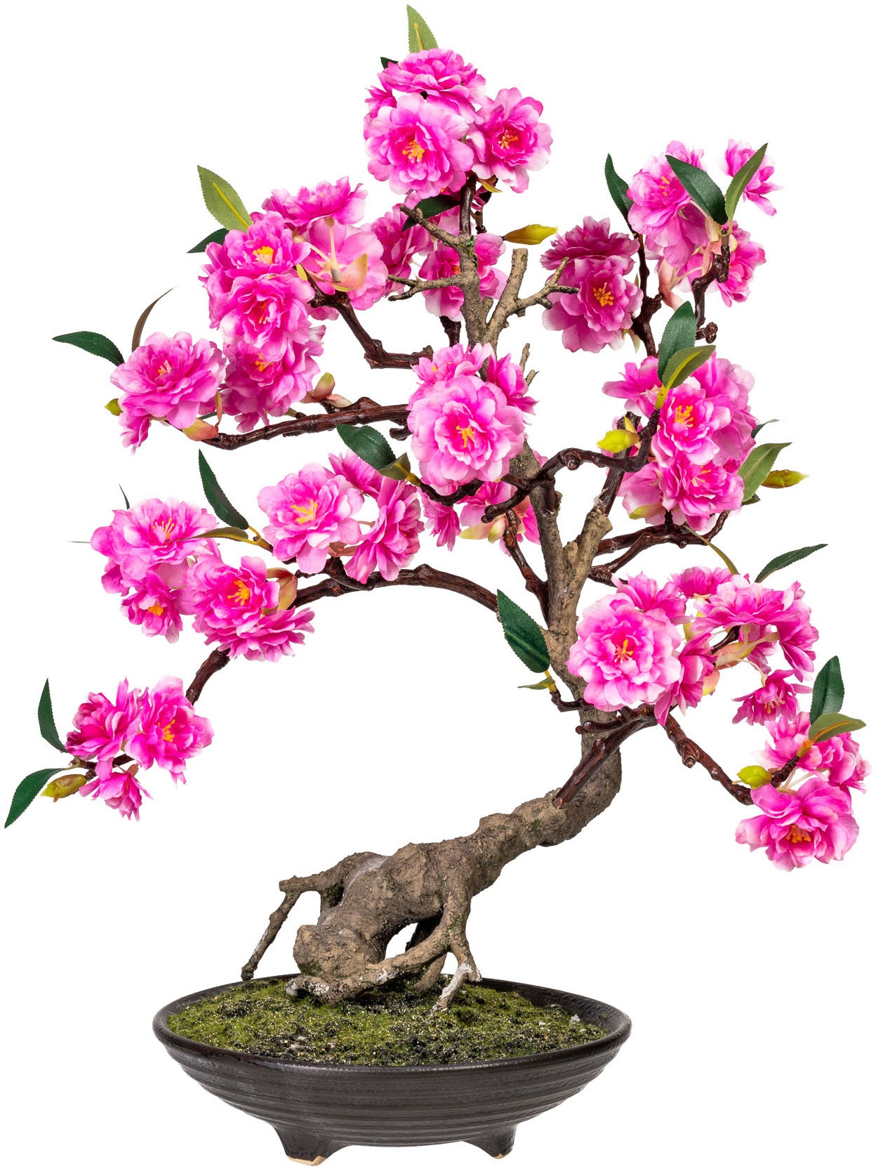 Image of DELAVITA Kunstbonsai »Margarete«, (1 St.), Kunstpflanze, im Topf bei Ackermann Versand Schweiz