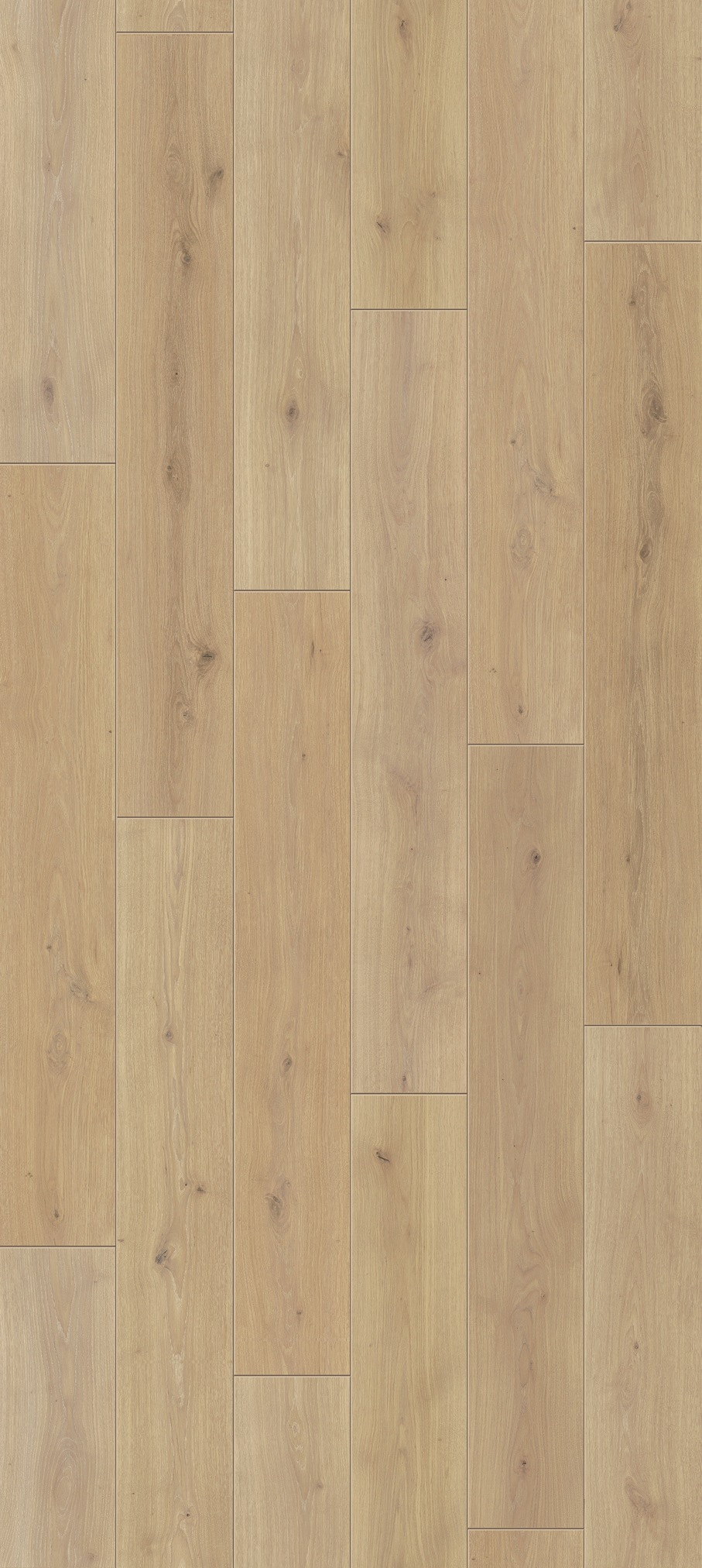 Image of PARADOR Laminat »Classic 1050 - Eiche natural mix hell«, (Packung), spezielle Trägerplatte, 1285 x 194 mm, Stärke: 8 mm bei Ackermann Versand Schweiz