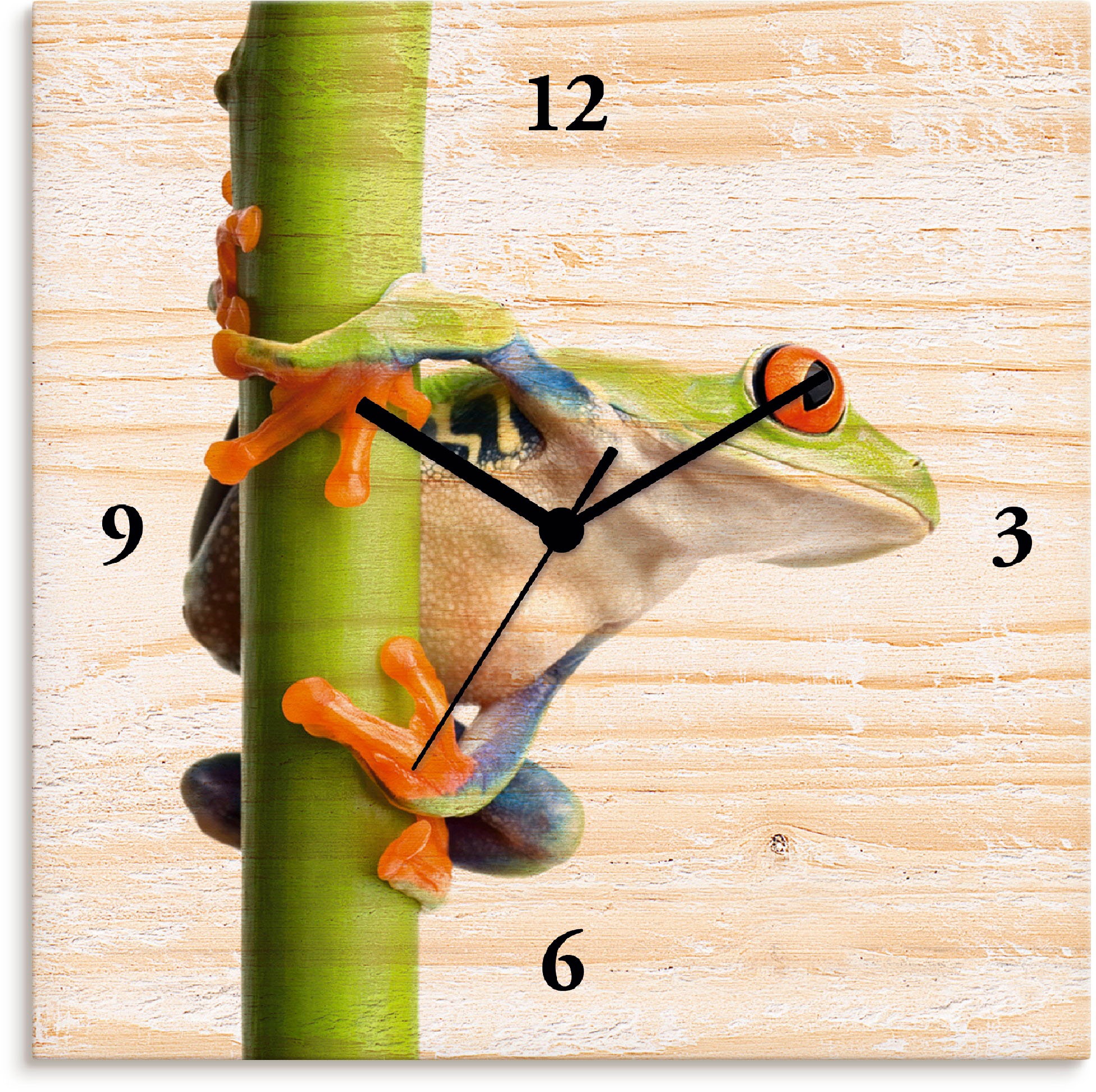 Image of Artland Wanduhr »Frosch umfasst einen Pflanzenstengel«, lautlos, ohne Tickgeräusche, nicht tickend, geräuschlos - wählbar: Funkuhr o. Quarzuhr, moderne Uhr für Wohnzimmer, Küche etc. - Stil: modern bei Ackermann Versand Schweiz