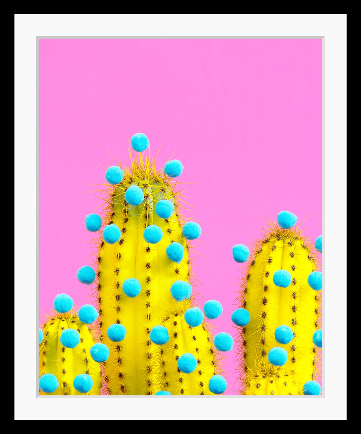 Image of queence Bild "Livia" Blumen Kunst Pflanzen Pflanzenbilder HD Premium Poster-Druck inkl. Holzrahmen