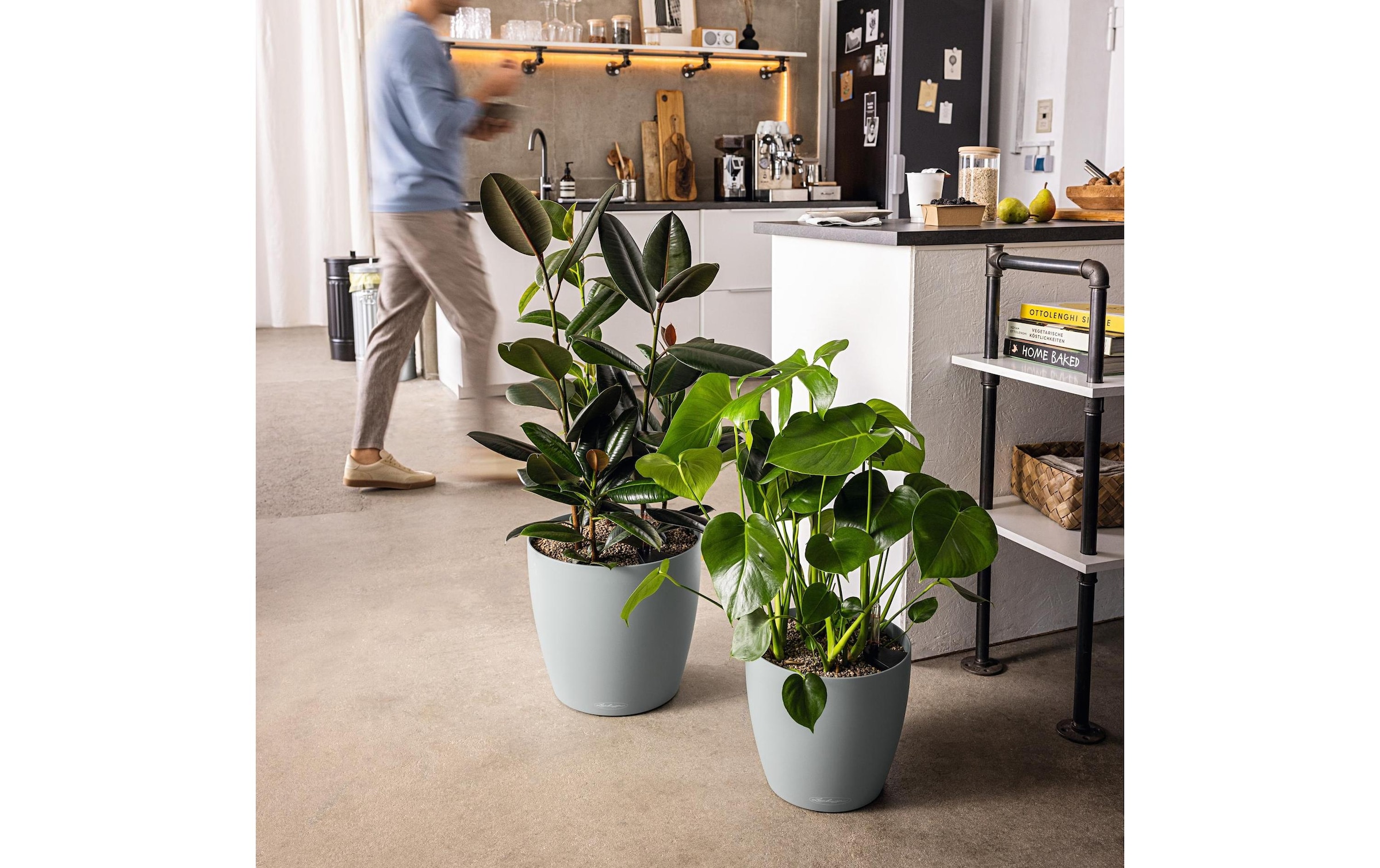   Blumentopf »Lechuza CLASSICO Eco 43«