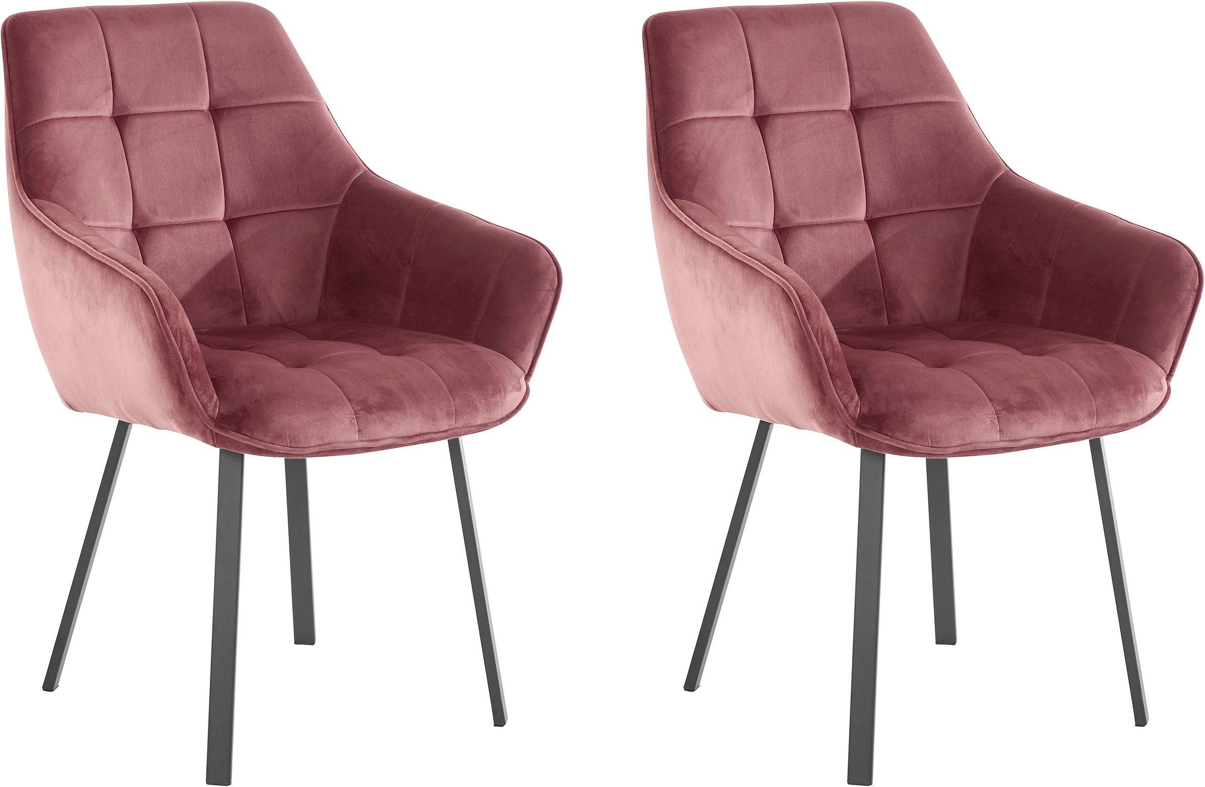 Image of my home 4-Fussstuhl »Poppy«, 2 St., Veloursstoff, Bezug in Veloursstoff, schwarzes Metallgestell, maximale Belastbarkeit ca. 120kg bei Ackermann Versand Schweiz