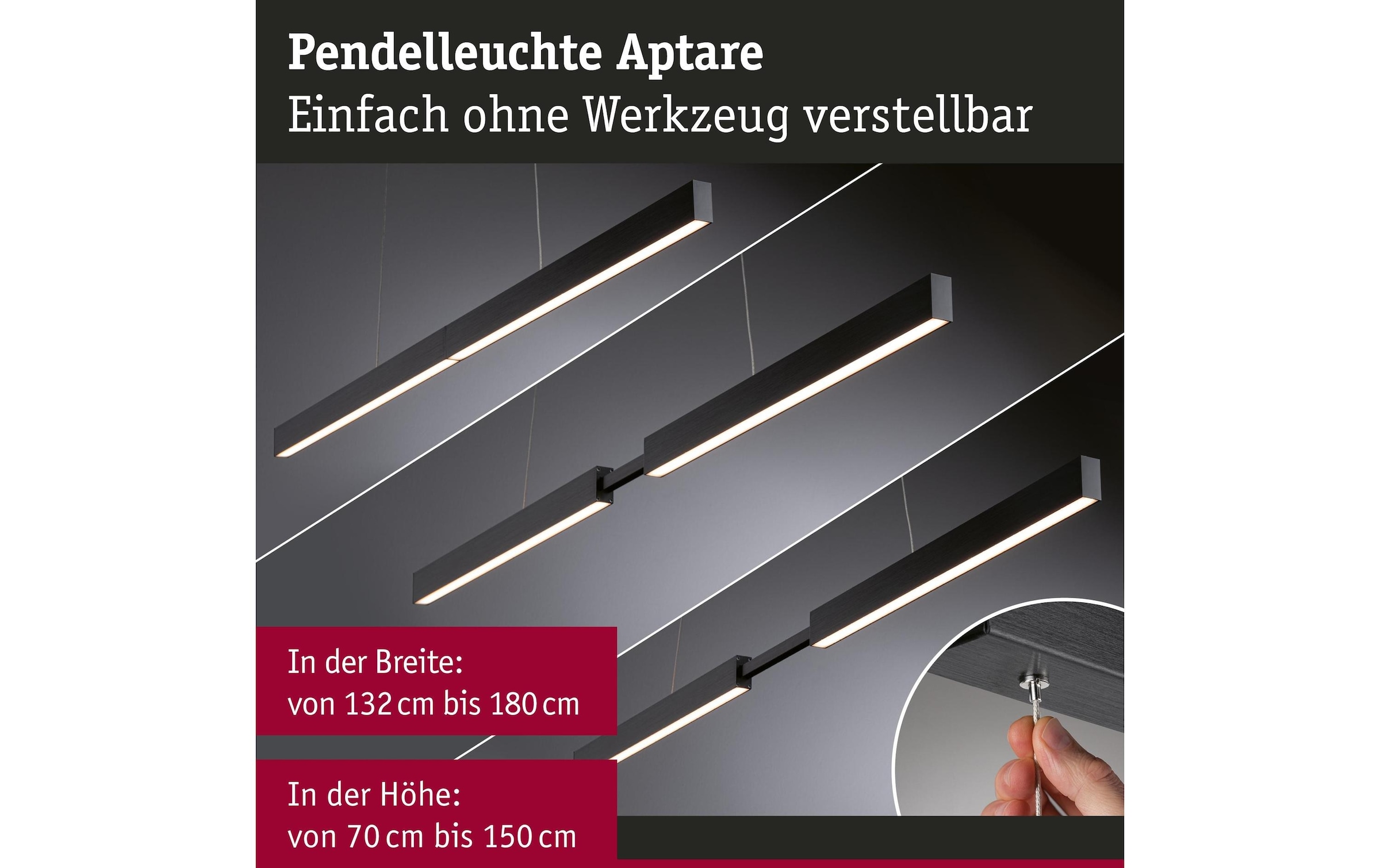 Paulmann Pendelleuchte »LED Pendelleuchte Smart Home Zigbee« LED-Modul RGB | warmweiss - kaltweiss