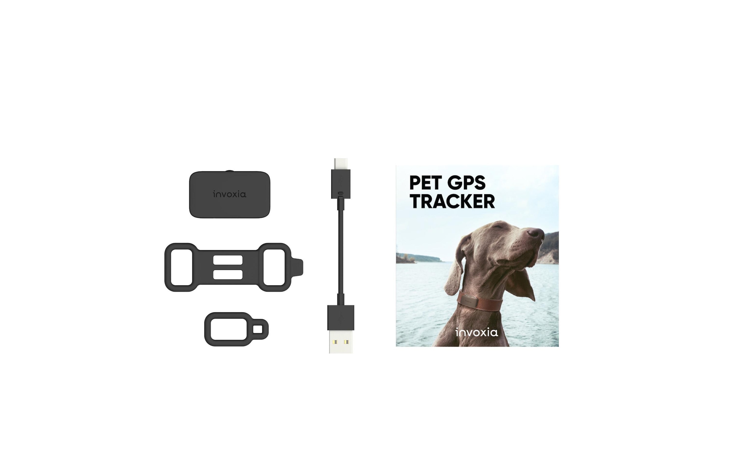 GPS-Tracker »Invoxia GPS-Tracker für Katzen«