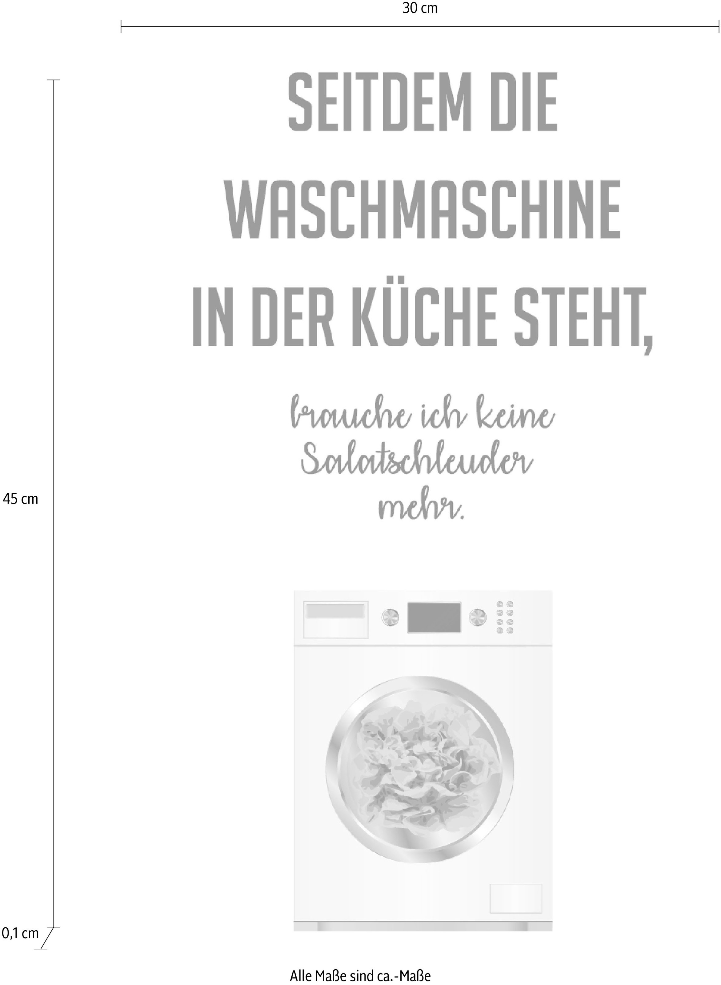 queence Wanddekoobjekt »Salatschleuder«, Stahlschild, Blechschild, Spruch, Witzig, Wanddeko, retro, 20x30cm
