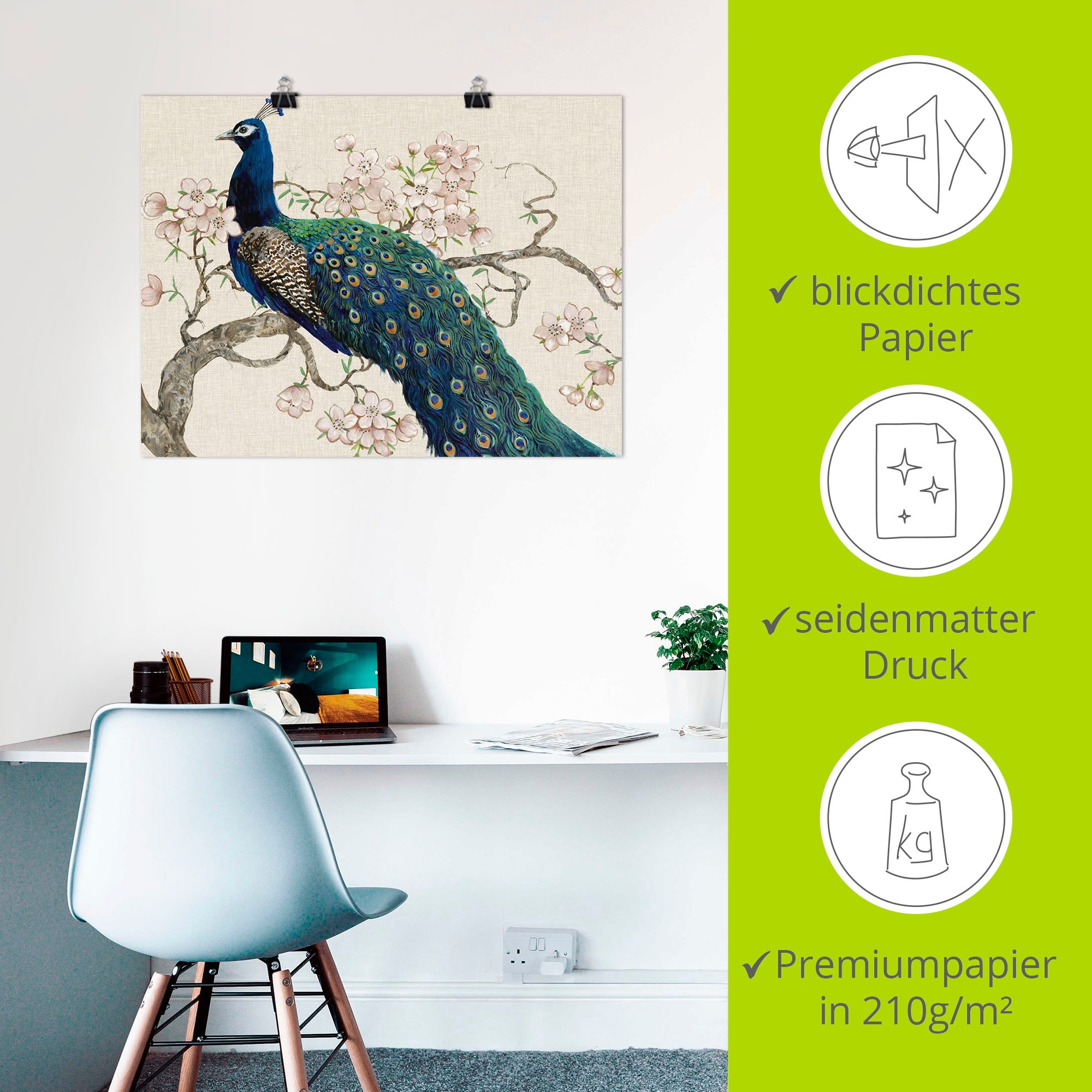 Artland Fresque murale »Pfau & Blüten II« 1 cuis tlg. als Leinwandbild, Poster in verschied. Grössen