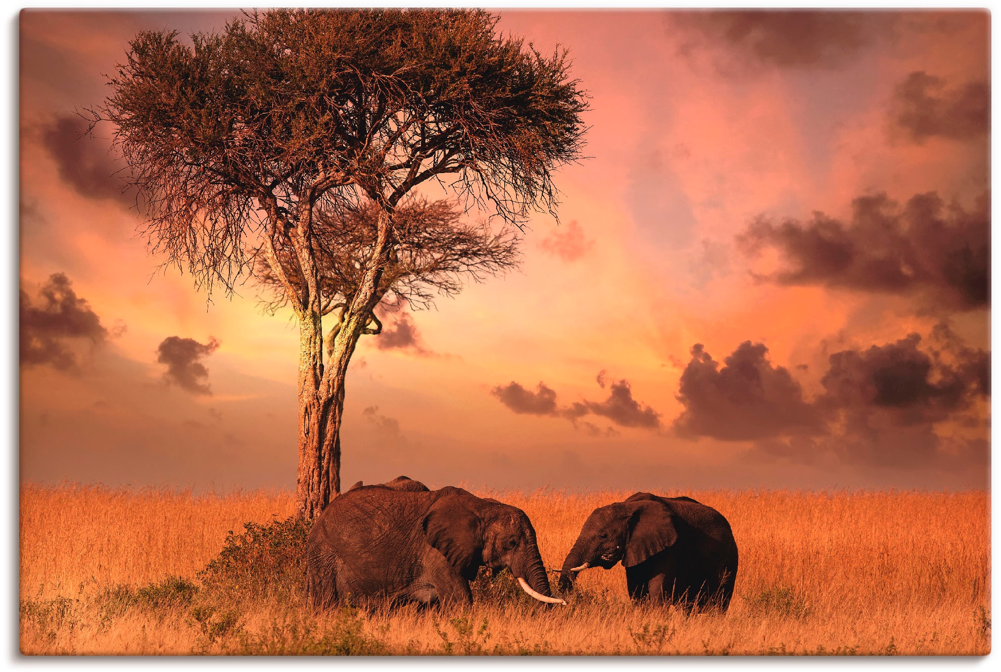 Image of Artland Leinwandbild "Elefanten zum Abendessen" Wildtiere 1 Stk. tlg. auf Holzrahmen gespannt