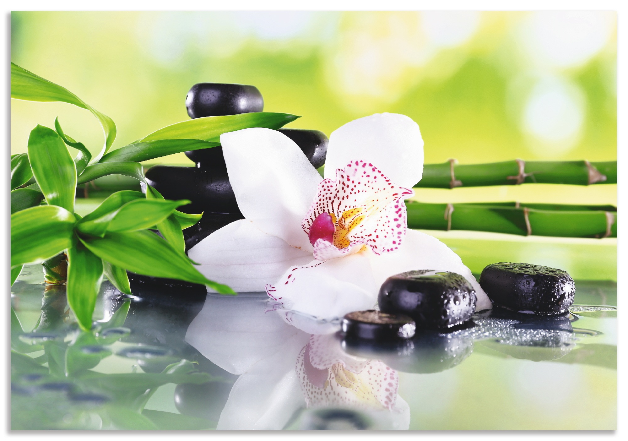 Image of Artland Küchenrückwand »Spa Steine Bambus Zweige Orchidee«, (1 tlg.), selbstklebend in vielen Grössen - Spritzschutz Küche hinter Herd u. Spüle als Wandschutz vor Fett, Wasser u. Schmutz - Rückwand, Wandverkleidung aus Alu bei Ackermann Versand Schweiz