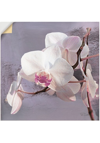 Wandbild »Orchideen vor Violett I«, Blumen, (1 St.)